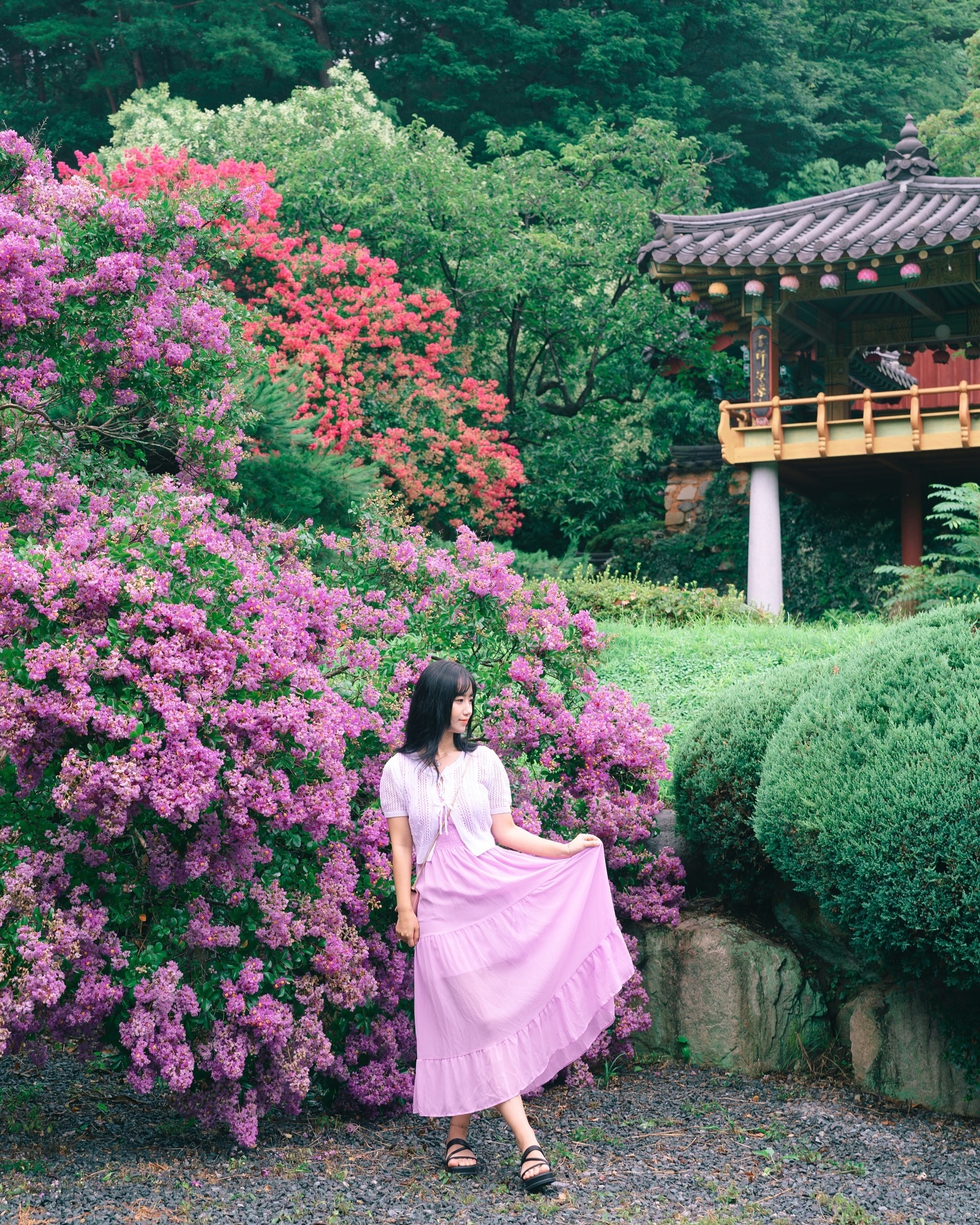올여름 배롱이 실컷 봤다➰💓
첨으로 보라배롱과 흰배롱까지🪻🤍
안나간다 안나간다 해놓고 결국 한주 빼고 다 나갔다🤣