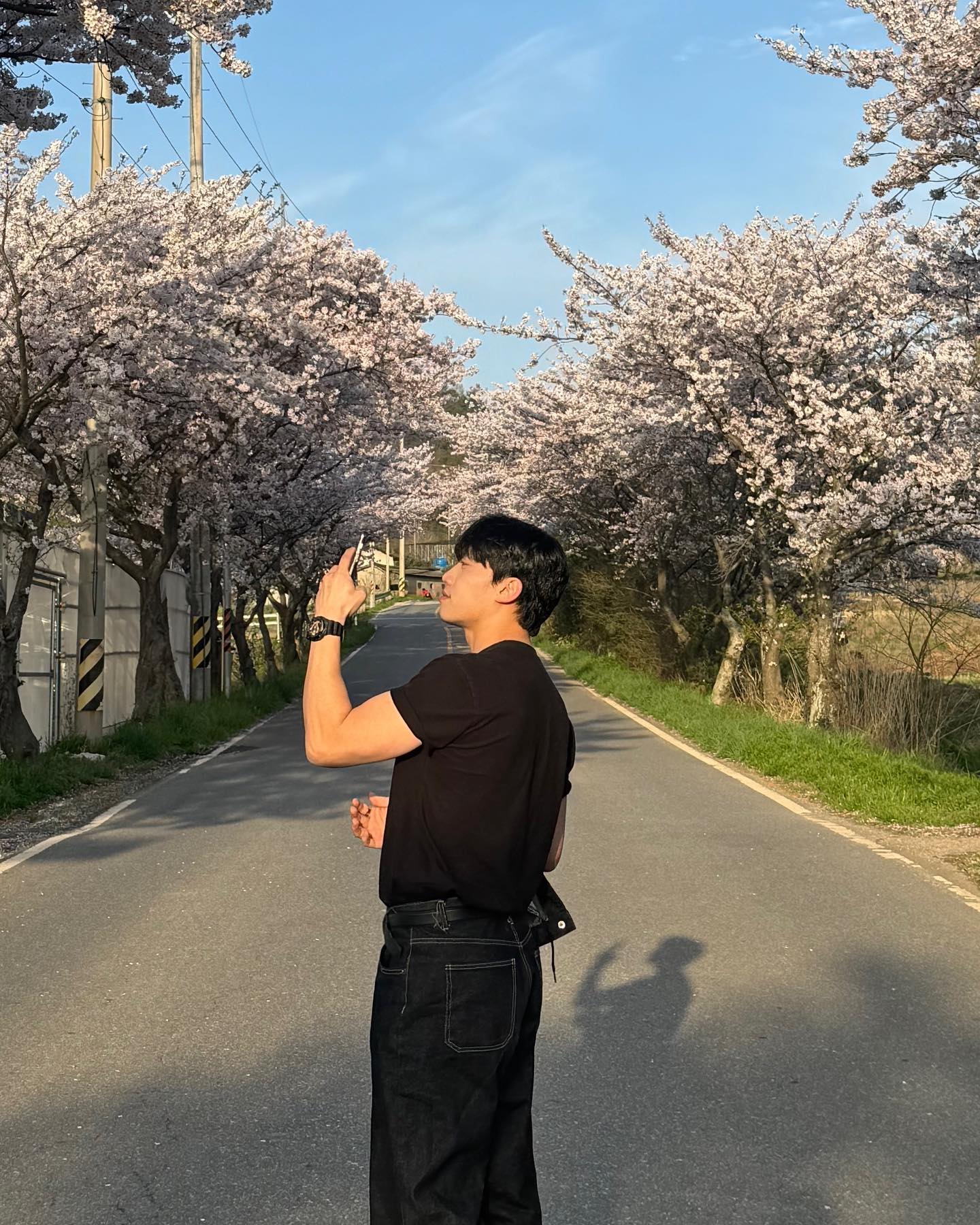 순천에 살아서 좋은 이유
어딜 가도 벚꽃이 한가득🤦🏻