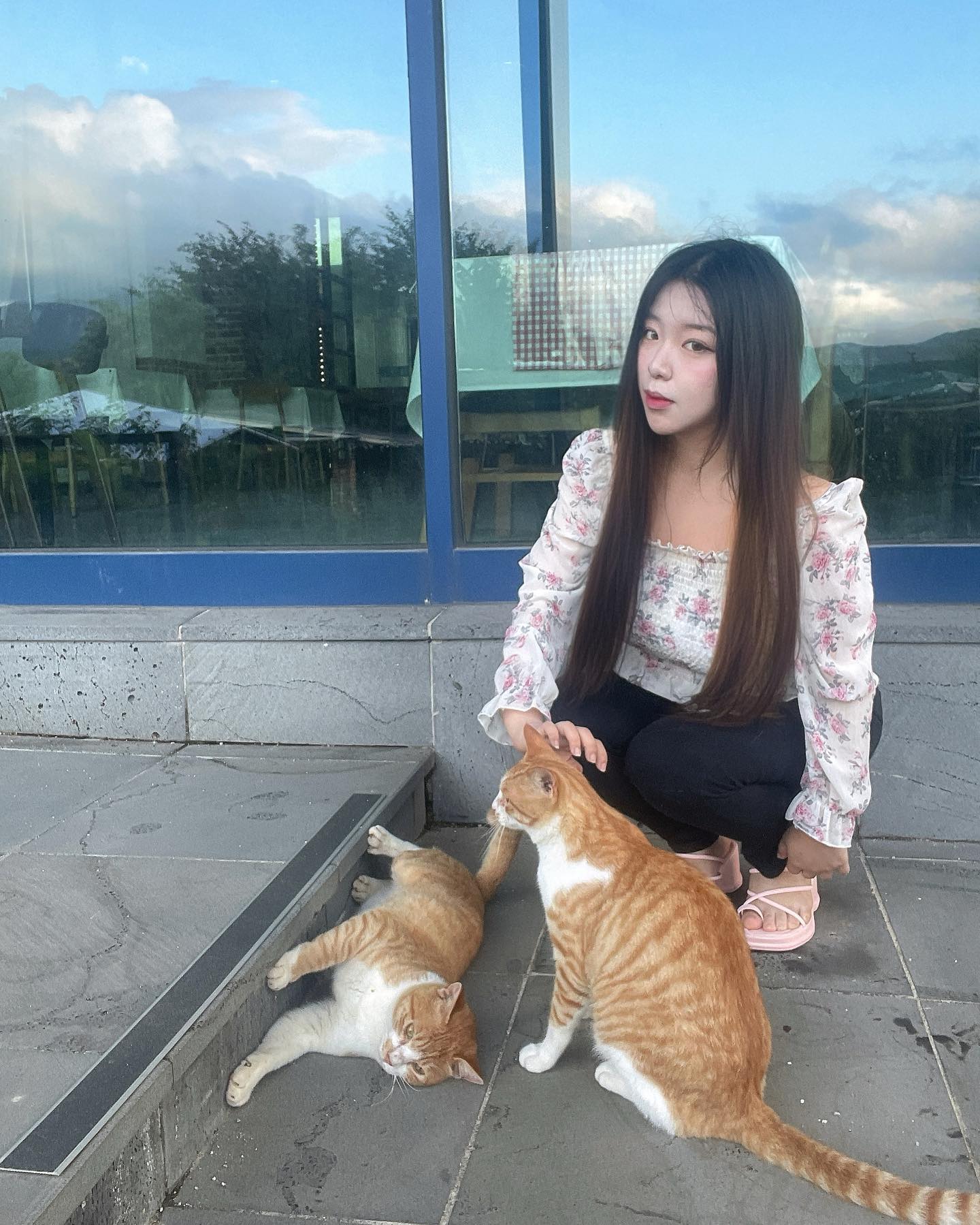 궁금한 사람도 없겠지만 전 생얼로 아이폰 페이스타임인가 그 영상통화 하는 걸 참 좋아해요 💕