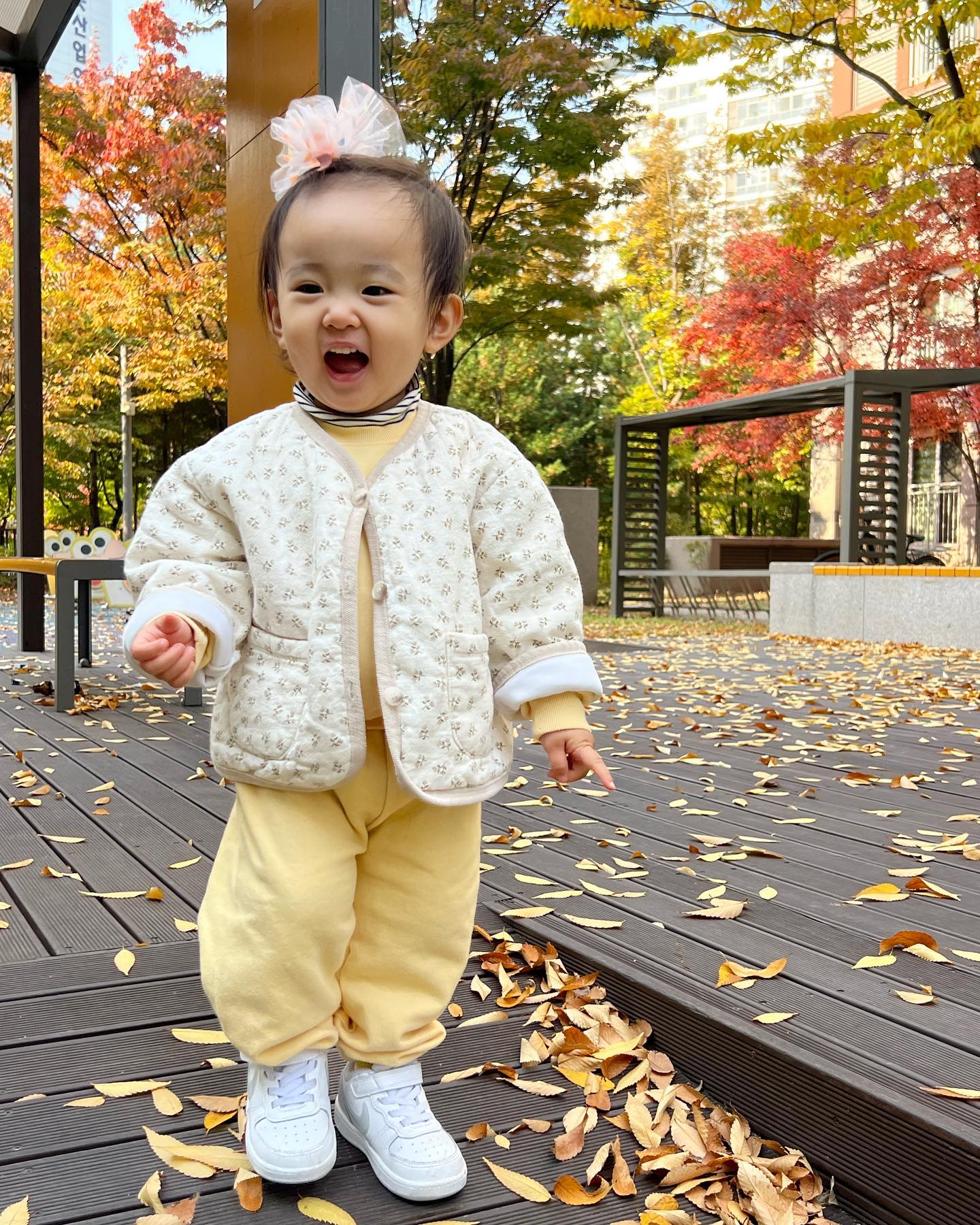 🐿️🍂🍁🧡🍁💛🤎
낮잠 잠깐자고 낙엽신나게 밟으면서 놀이터!
많이 컸어 루루장🫶🏻💛
.
#가을스타그램