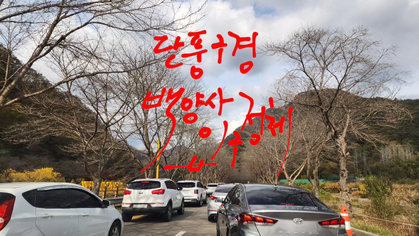 전남 장성 백양사 입구
차량 지정체

#백양사 #단풍여행 #너러바회
