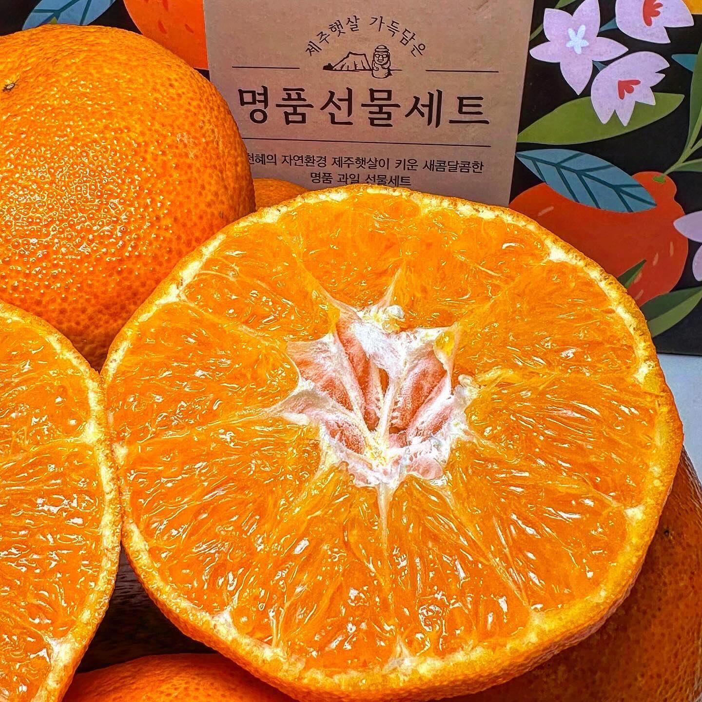 #협찬 새콤달콤 과즙이 뚝뚝
제주도민도 찾는 과일이 왔어요❣️
.
.
🍊#레드향
.
.
찐찐찐으로 새콤달콤달콤한 레드향이예요❤️
맛있어서 제주 도민도 찾아 먹는다고 하는데👀
만감류 중에서도 최고 당도를 자랑한다고 해요

따뜻한 제주 남원읍에서 15년 이상의
노하우와 기술로 재배하여 퀄리티는 최상급✨️

후숙해서 먹으면 더 맛있다는거 아시죠?🥹
추운날 이불 속에서 레드향 까먹어보자구요~
.
.
[땡큐파머스 레드향]을 검색해주세요! :)
.
.
.
🍊thankyoufarmers
🍊레드향 2kg 특대과₩27900
.
.
.
#성장기삐야긔 #땡큐파머스
#레드향맛집 #과일맛집 #과일택배 #택배맛집
#제철과일 #제주도맛집 #제주도과일 #제주도택배
#간식 #간식추천 #간식맛집 #간식택배 #겨울간식