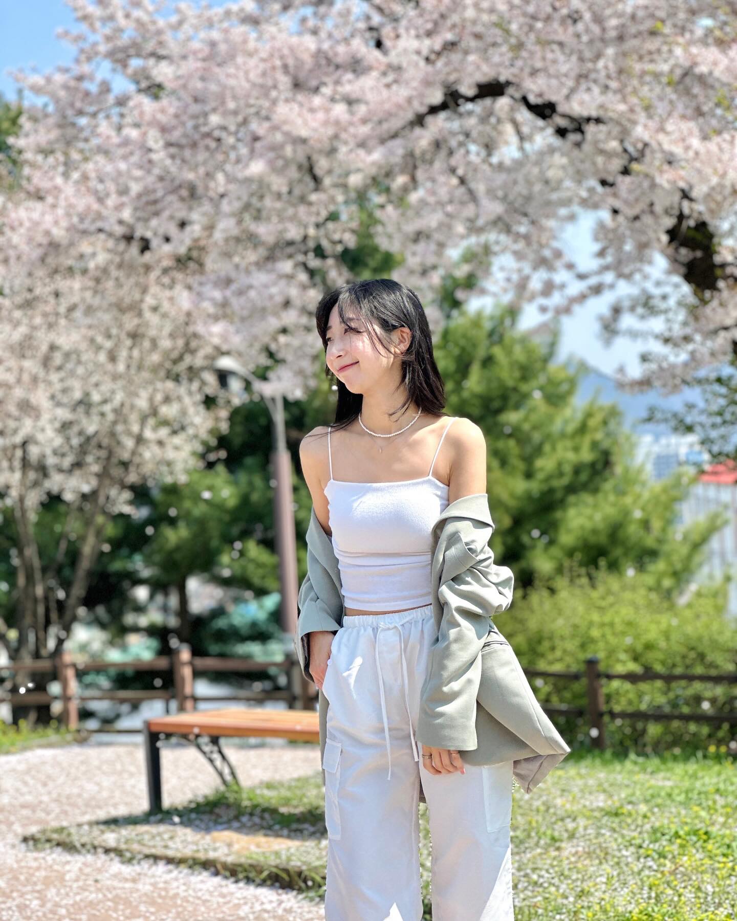 실시간 벚꽃놀이🌸