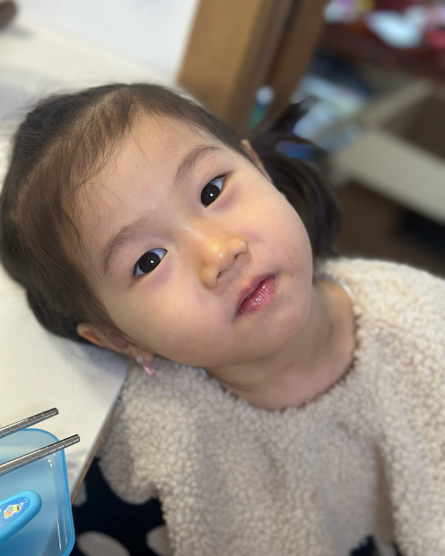 새침때기 두찌😍
표정만은 최고 #딸램