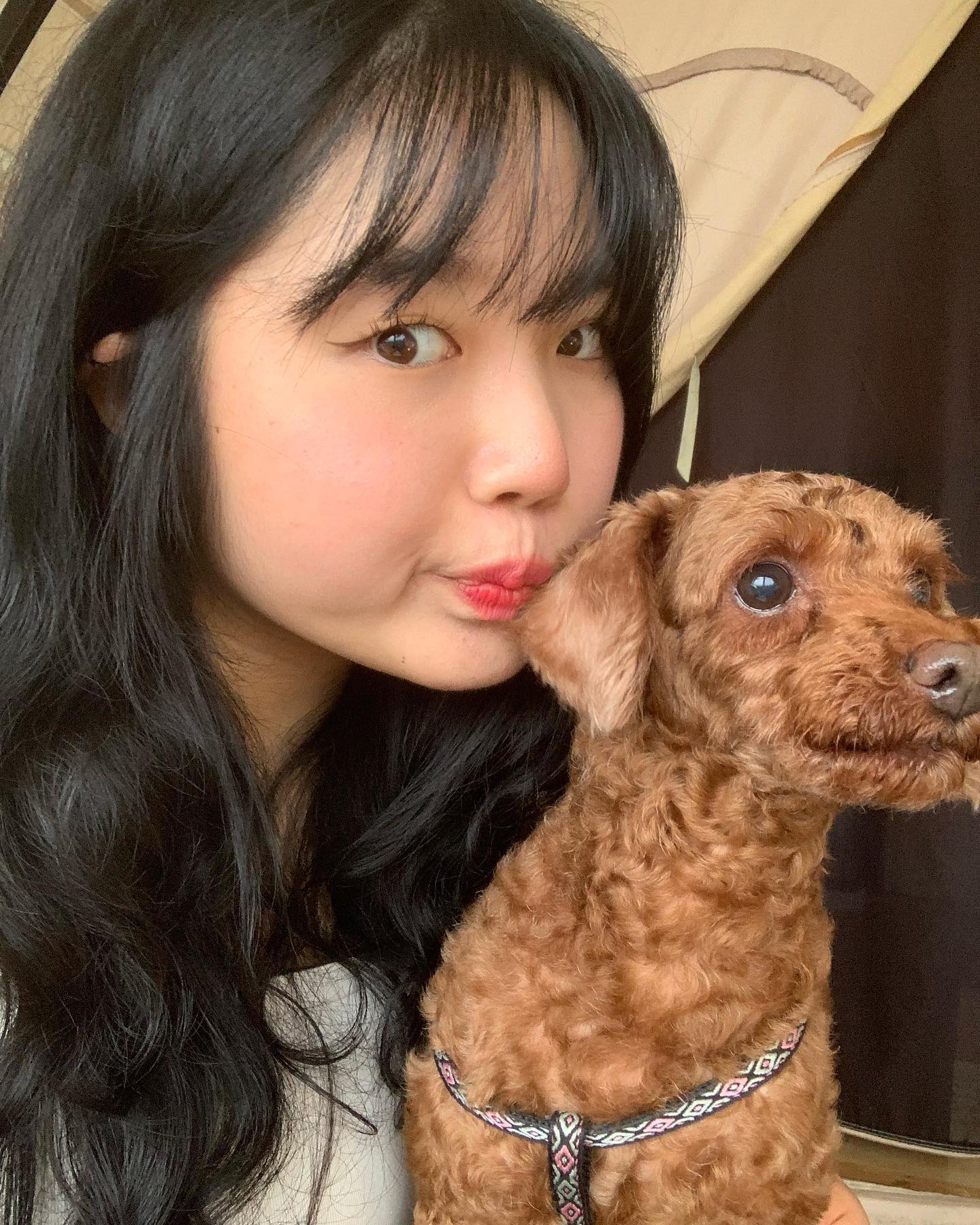 🐶✨