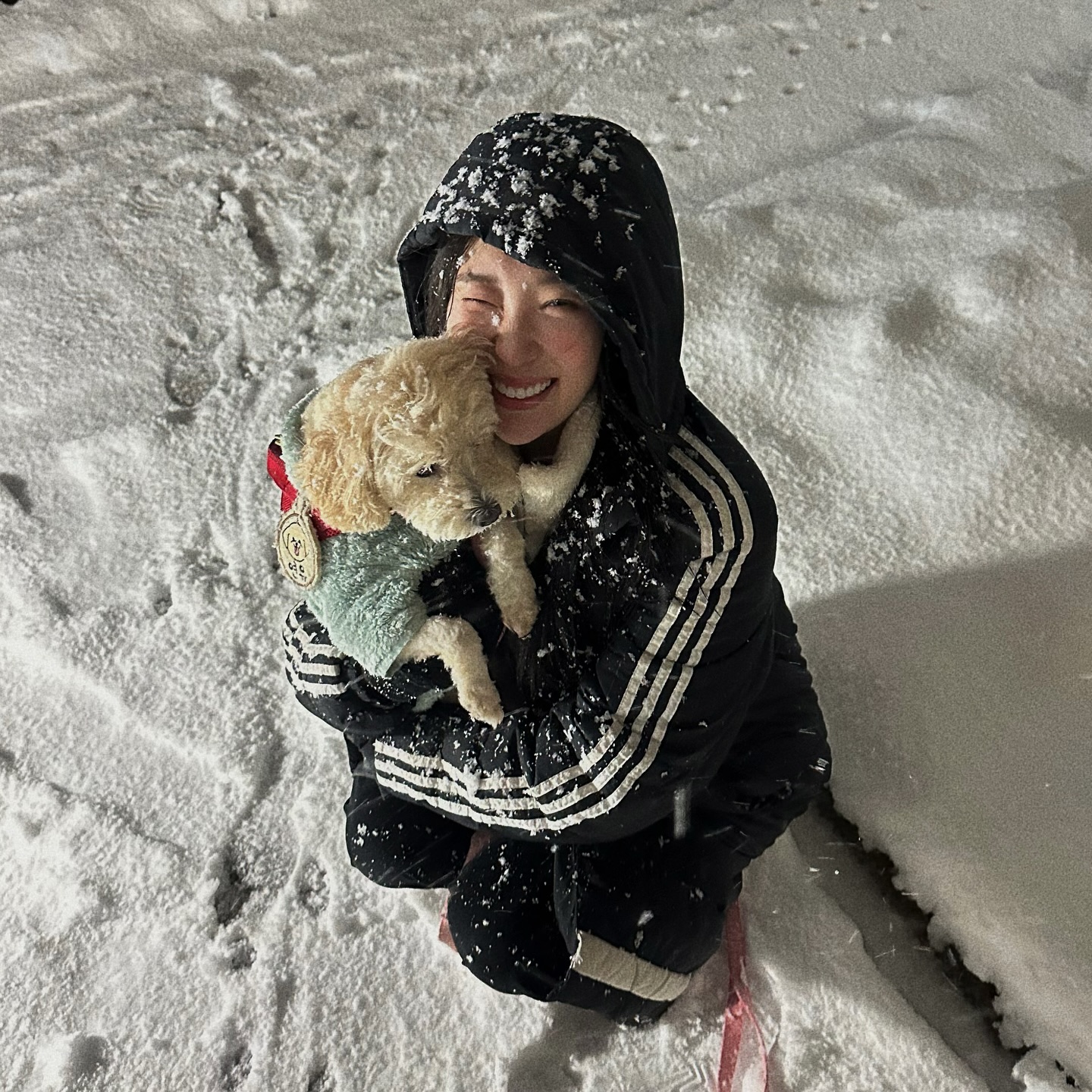 소중함☃️🐶