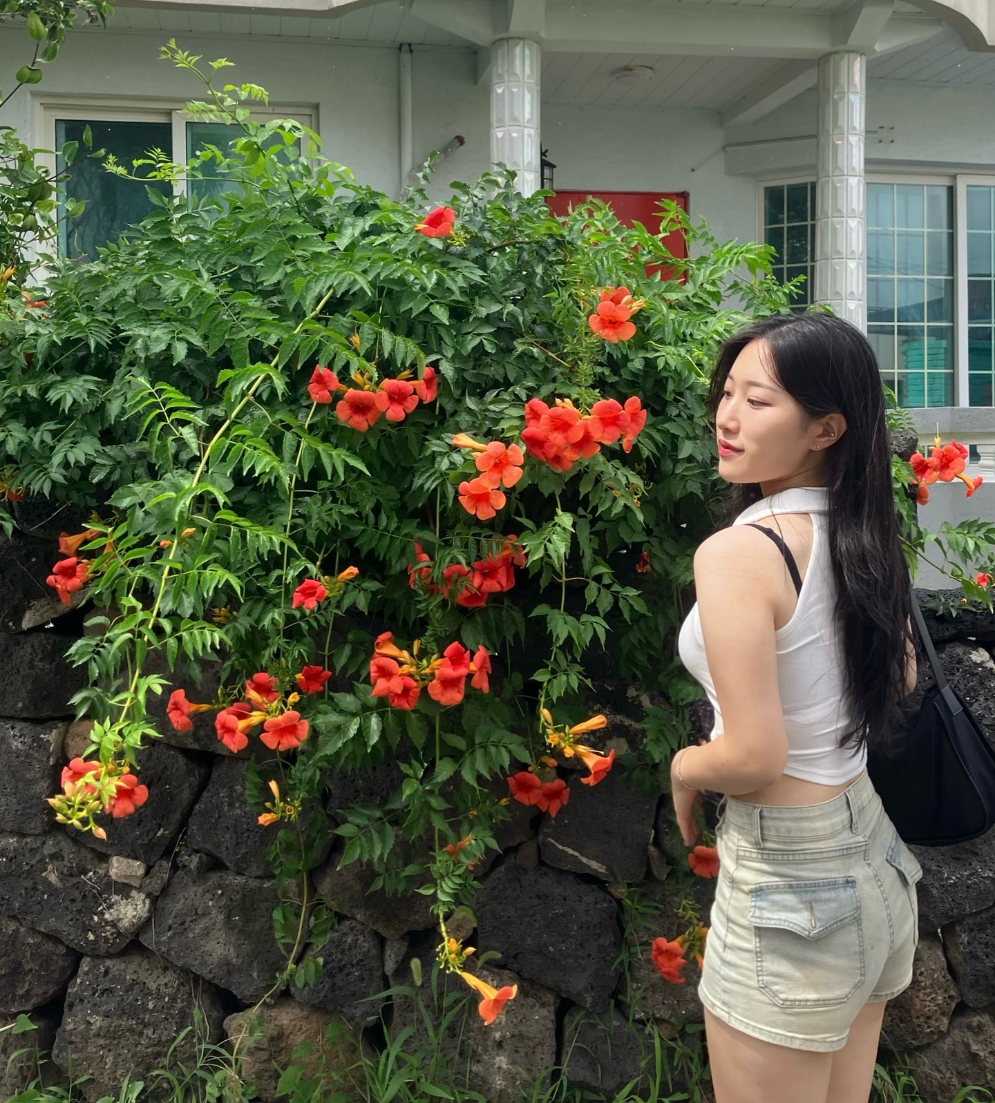 제주도 길 걷다가 발견한 능소화✿
진짜 너무 예뻤다 ❁´▽`❁