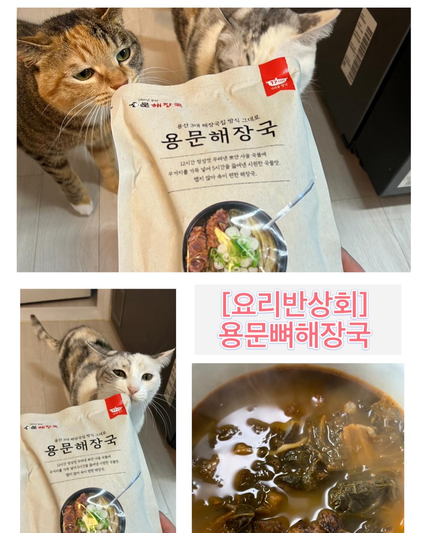 #협찬 #제품제공
[요리반상회] 용문뼈해장국
weggle_official yoribansanghoi 

우거지가 많이 들어 있어요. 해동만 해서 끓이면 간편하게 먹을 수 있어요. 진한 사골 육수에 얼큰한 국물맛이 👍

이 리뷰는 제품을 무상으로 제공받아 작성되었습니다.

#위글 #weggle #숏폼 #숏폼커머스
#해장국 #용문동 #기사식당 #뼈해장국
#백종원3대천왕 #서울3대해장국 #맛집
#용문해장국 #용문뼈해장국 #가마솥해장국