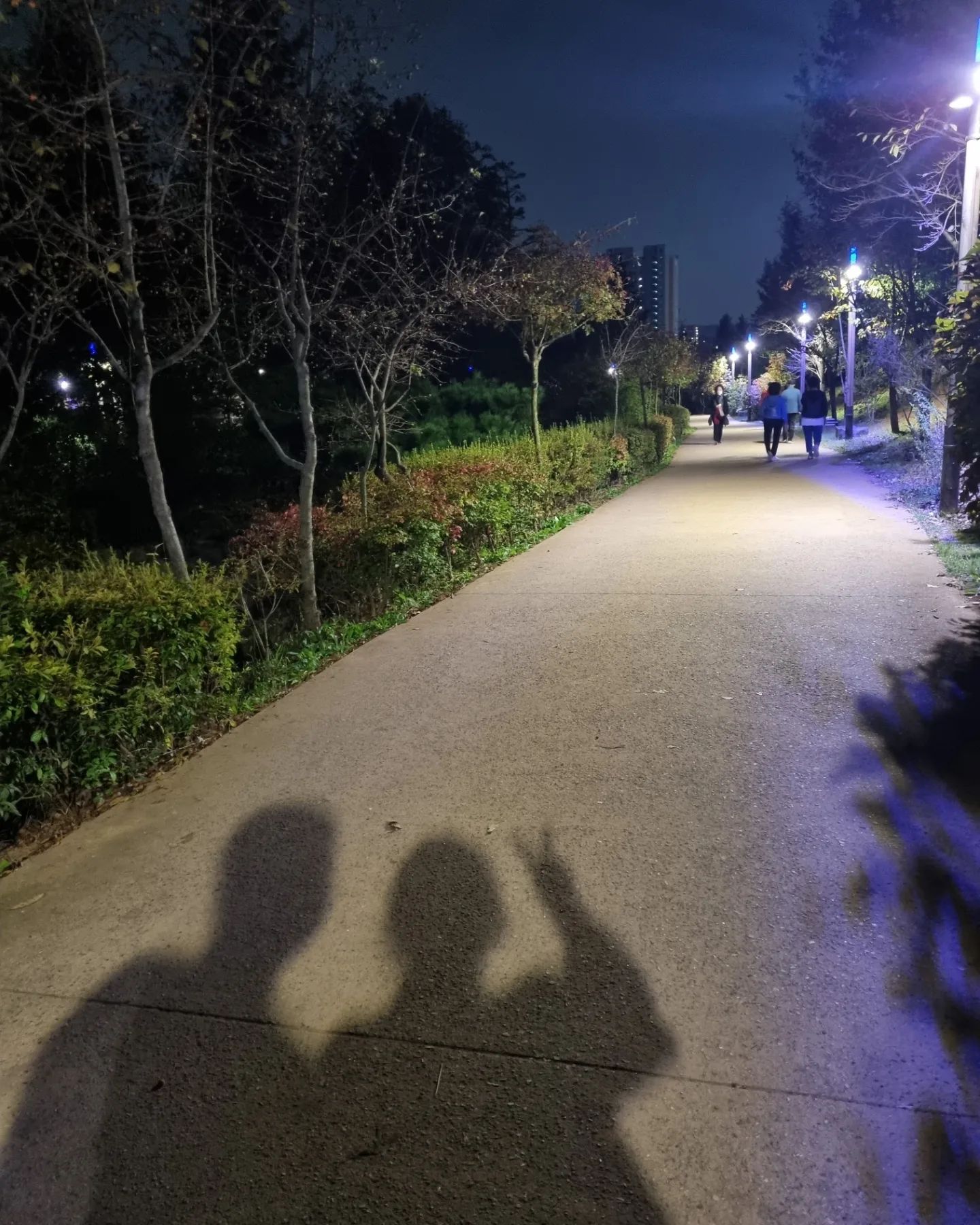 우린 #그림자부부 👥️💦
저녁먹고 남표니랑 수목원 한바퀴
(울 요미는 조금만 더 기다료~~🐕💕)

이 조명 온도 습도,,,
젤루조ㅇㅏㅋㅋㅋㅋㅋ🍂🍁
올해도 부지런히 이 계절을 보내야지

#바람솔솔 #행복한시간