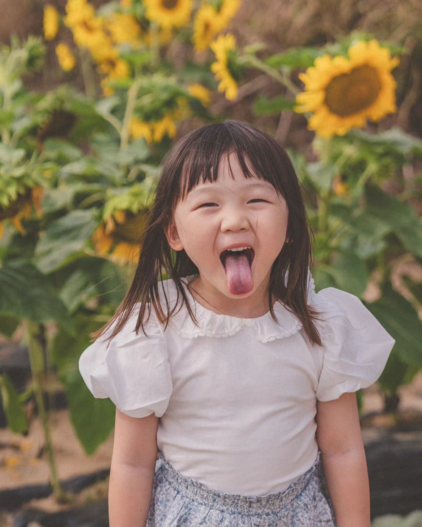 #바실라 #경주카페추천

해바라기가 가득 피어있는 바실라카페
너무 사랑해 우리딸
사진 한장한장이 다 그림이다

#경주여행 #경주아이와여행 #경주아이와가볼만한곳 #바실라카페 #해바라기카페
#육아일기 #육아기록 #육아일상