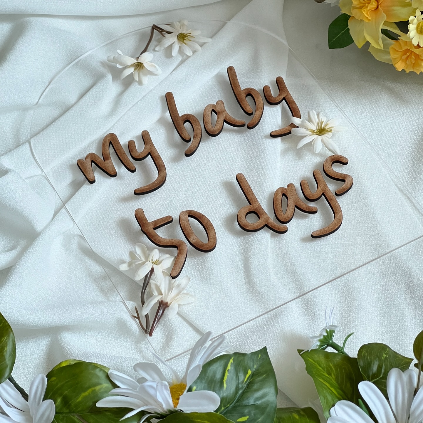 👶🏻🪽 ❺⓿Ⓓⓐⓨⓢ

벌써 이담이 태어난지 50일..♥
예쁜 사진 직접 찍어 남겨주고싶어서 셀프로 진행 (*ˊᗜˋ*)
생각보다 쉽진않았지만 힘든만큼 결과물은 더 만족•.+ ͙

이담아 지금처럼 아프지말고 무럭무럭 자라줘➿♥️

🛒 poem___t 
🏷️ #24년생 #50일셀프촬영 #육아기록 #생후50일