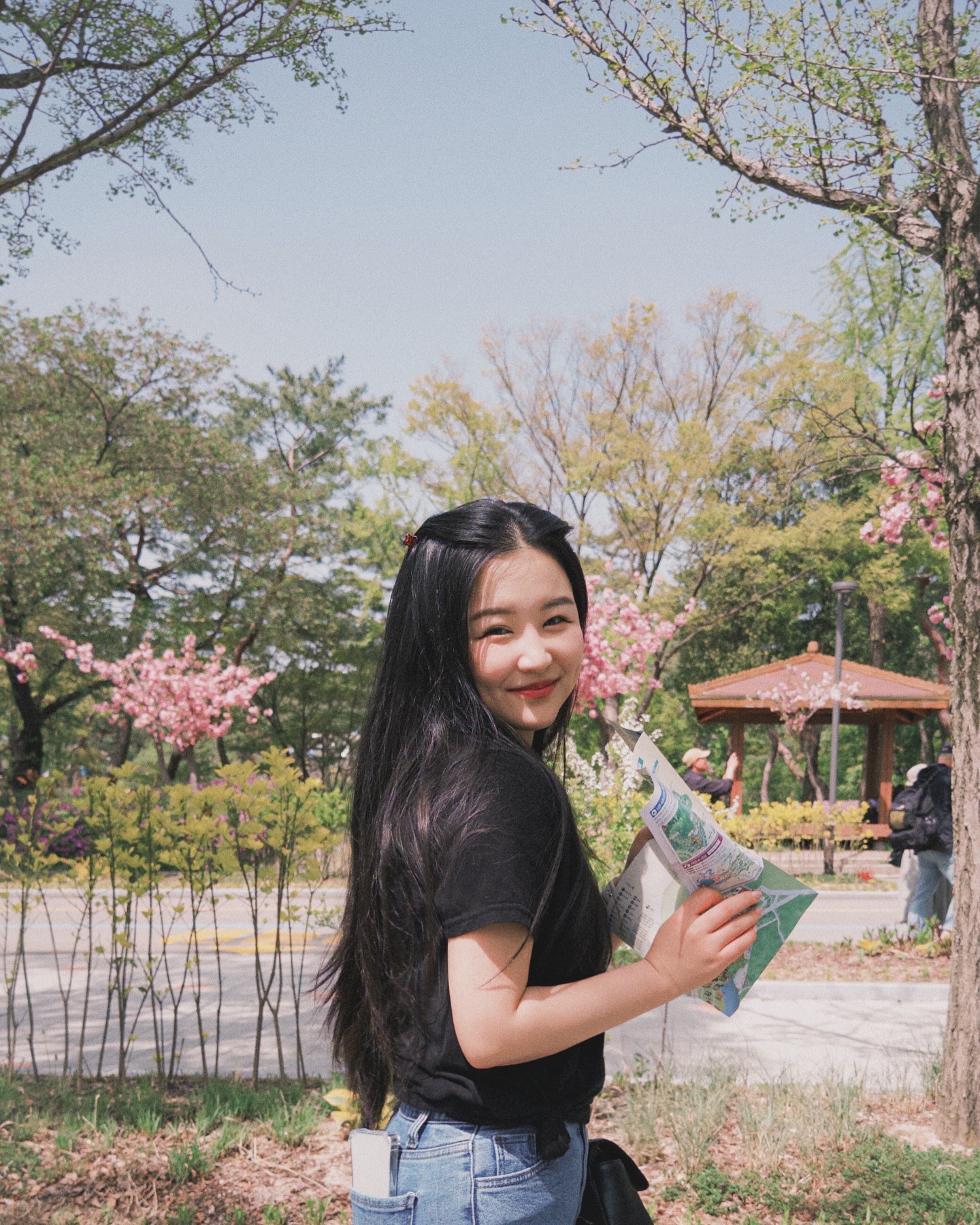 🌸🌸🌸