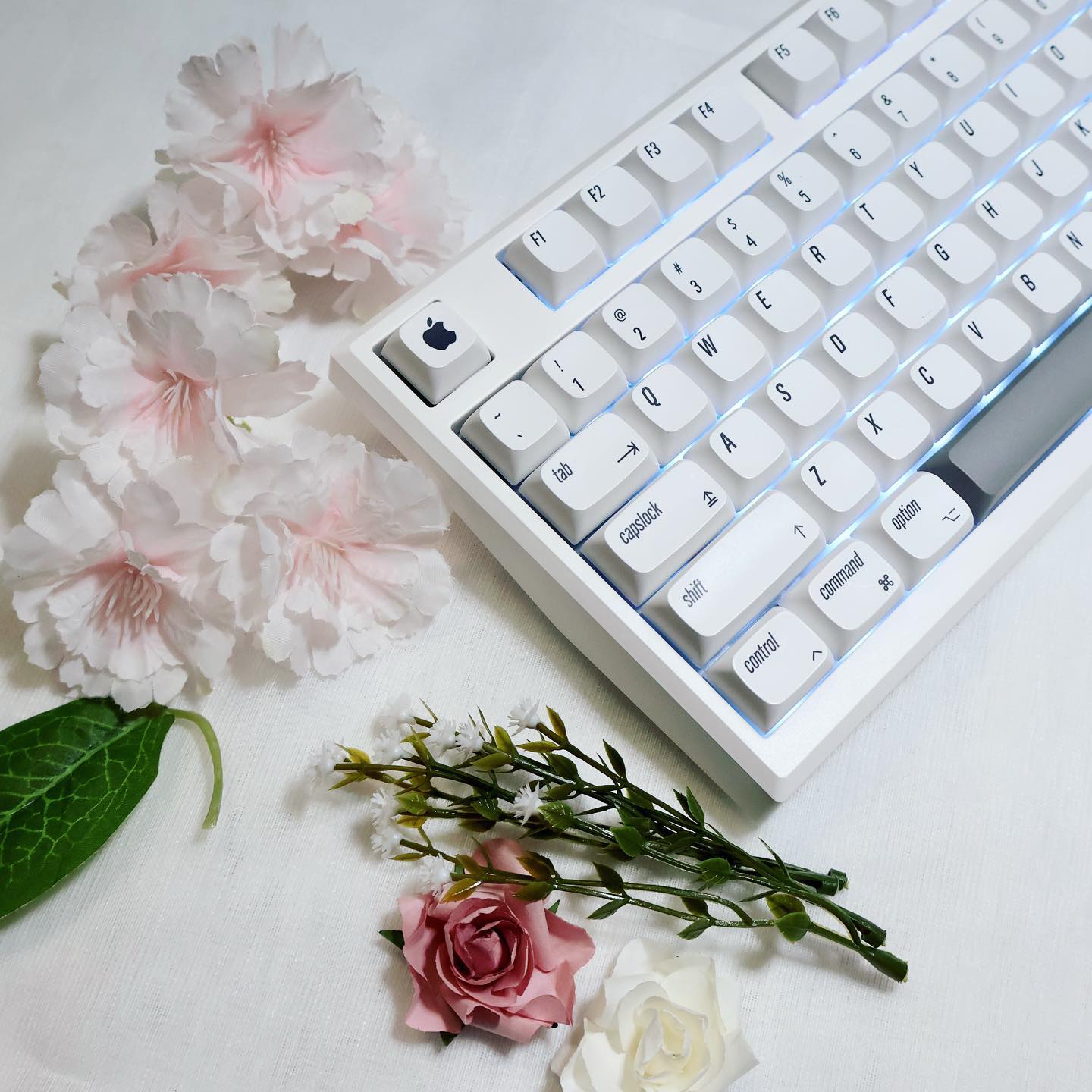 이쁜 키보드🎹 
새로 맞췄습니다!

.
.
.

#keyboards #funkeys 
#무선키보드 #애플키보드 #apply #선물추천 #기계식키보드 #keyboard #책상꾸미기 #데스크테리어 #desksetup #deskinspo