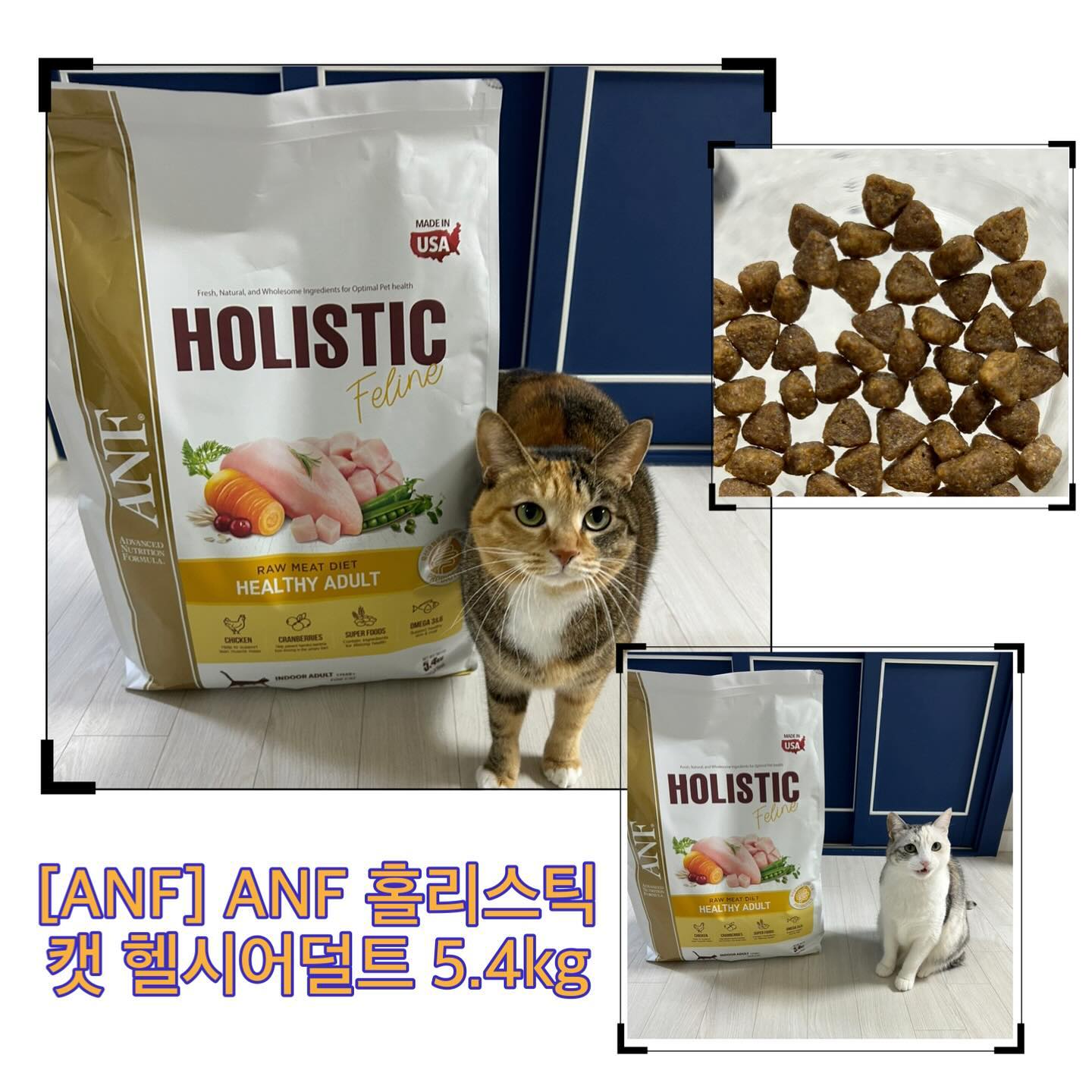 #협찬 #제품제공 #무상제공
[ANF] ANF 홀리스틱 캣 헬시어덜트 5.4kg  황금 비율로 설계한 황금변사료 고양이사료
anf_korea 

ANF 홀리스틱 캣 헬시어덜트는 황금 비율로 설계한 황금변사료에요. 
설탕이와 칸쵸의 경우에는 약간의 변비 증상이 있어 따로 유산균을 먹고 있어요. ANF 홀리스틱 캣 헬시어덜트는 황금변 사료로 따로 유산균을 먹이지 않아도 되는 사료에요. 
ANF 홀리스틱 캣 헬시어덜트 사료를 먹기전에는 가닥가닥의 똥을 싼 반면, 일주일간 먹인 후에 변 상태를 보니 건강한 변으로 바뀐것을 확인 할 수 있었어요. 사료의 효과를 확인하기 위해 이 시기에는 따로 유산균을 먹이지 않았는데, 변상태가 많이 좋아져서 놀랐답니다. 사료 하나로 아이들 건강을 바꿀 수 있다는 점에서 너무 좋은 것 같아요. 
게다가 5.6KG 대용량인데도 불구하고 좋았던 점이 있엇는데요, 바로 소포장 되어있다는 점이 었어요. 대용량 사료의 경우에는 따로 보관하기가 쉽지 않아 소분하여 냉동보관하거나 많은 용량때문에 사료 구매시 망설여 지는 부분인데요, ANF 홀리스틱 캣 헬시어덜트는 각각의 소포장되어 있어 신선한 사료를 아이들에게 공급할 수 있다는 부분이었어요. 
사소한 부분에도 신경을 썼다는 지점이 정말 감동 포인트였답니다. 
아이들 장건강! 사료하나로 챙길 수 있다는 점이 정말 큰 장점인 것 같아요!

ANF홀리스틱 캣 헬시어덜트는?
①특허받은 유산균 35억 마리가 장 건강을 지켜주니까!
②중저단백질 포뮬러로 속 건강이 편안하니까!
③국내 최초 고양이 영양학 박사가(우리와 연구진) 만들어 믿을 수 있으니까!
④AAFCO 기준에 맞춘 황금 설계로 정확하니까!
- AAFCO 권장비 고려한 11가지 아미노산 비율
- 체내 PH 밸런스를 위한 칼륨&나트륨&염소 4:2:3 비율!
⑤신선한 낱개 속포장

✔️ 무른 변, 변 냄새 등 건강한 변을 보지 못하는 반려동물을 위한 황금변 사료
✔️ 황금 비율로 꽉 잡은 황금변 사료
✔️ 건강한 변 예방 사료
황금 비율로 설계한 황금변 사료,

“본 포스팅은 ANF를 통해 제품을 제공받아 작성한 포스팅입니다.”

#ANF #ANF홀리스틱 #고양이사료 #고양이사료추천 #황금변사료 #고양이유산균 #고양이변비
#고양이똥 #고양이설사 #고양이변비증상 #고양이오메가3 #고양이장건강 #협찬 #제품제공 #무상제공