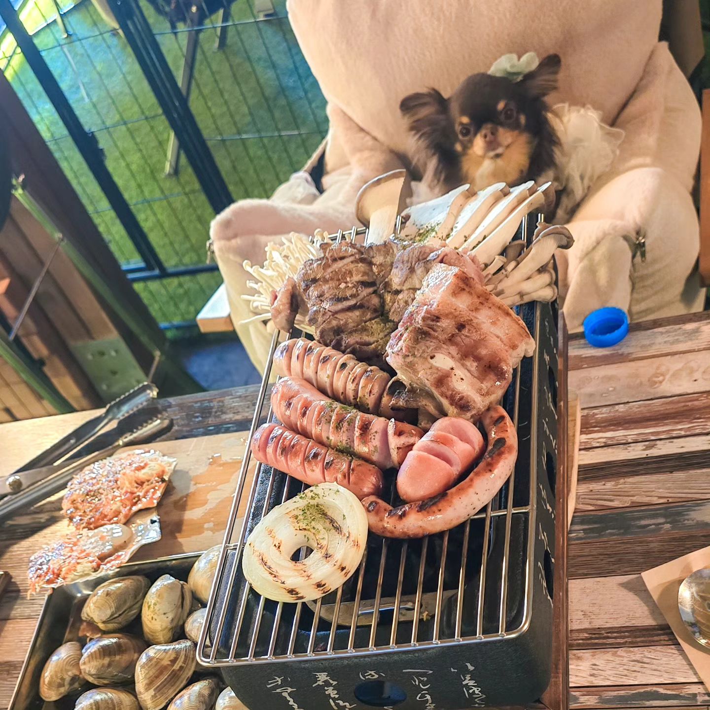 춘천 애견동반 맛집🐕 캠핑한잔에 탄이가🩷 다녀와쬬( ﾉ^ω^)ﾉ

요샌 캠핑스타일🏕 꼬기집들이 완전 핫한거💚 알쥐?!(* >ω<)

캠핑한잔은💙 탄이처럼 캠핑분위기는 좋아하지만 캠핑가긴 귀차니즘엄빠를😝 위한 바베큐 맛집이얌(*ﾟ∀ﾟ*)

탄이는 육해공이🍖 골고루 다 나오는 2박3일 돼캉스🐷 세트를 시켰는데 진짜 양도 많고 통삼겹400g+목살200g+치즈가리비4개+키조개2개 +조개류700g+버섯세트+소세지🤩 어마무시하게 맛난것만 잔뜩 나오는👍 혜자구성이얌(’-’*)♪

분위기도 캠핑갬성뿜뿜에⛺️ 고기도 넘나 맛나고 사람들 바글바글 한지🤭 이유를 알겠더라궁(･ω･*)

직원들도 엄청 친절하고🫶 잘생긴훈남오빠가😘 탄이 소세지 간식도 줘서💜 탄이도 완전 맛나게 먹어짜낭(o・ω・o)

춘천사는 팅구들은 조케땅😋 캠핑한잔 자주 갈수 있어서(T∀T)

탄이는 춘천에 놀러갈때마다🐶 맨날맨날 갈꼬라궁(ﾉ^∇^)ﾉ

#춘천맛집 #춘천석사동맛집 #춘천현지인맛집 #레고랜드맛집 #애견동반 #춘천가볼만한곳 #춘천애견동반맛집 #춘천애견동반식당 #캠핑한잔 #석사동애견동반