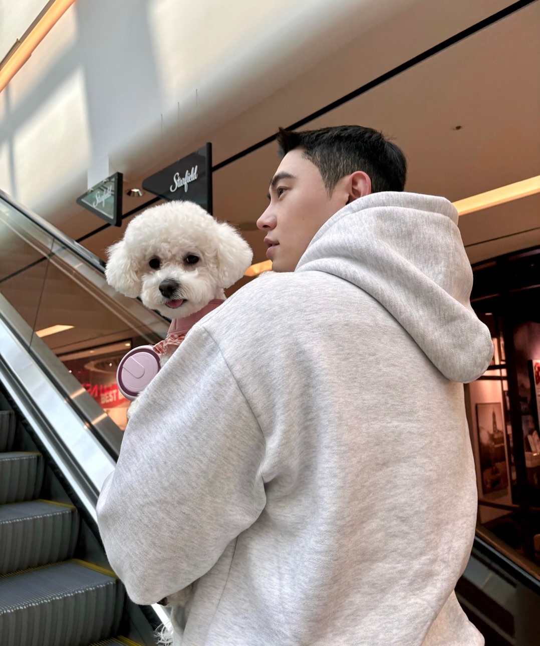 내 강아지들 ♥