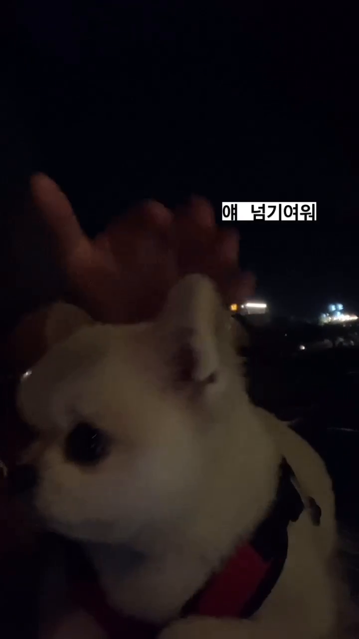 캠핑장에서 만난 체리🍒