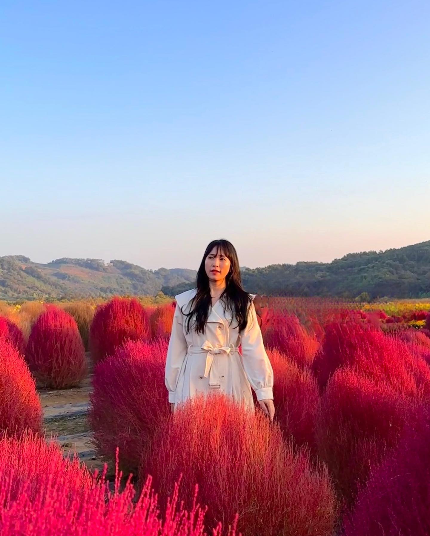 내년에 또 보쟈🌳