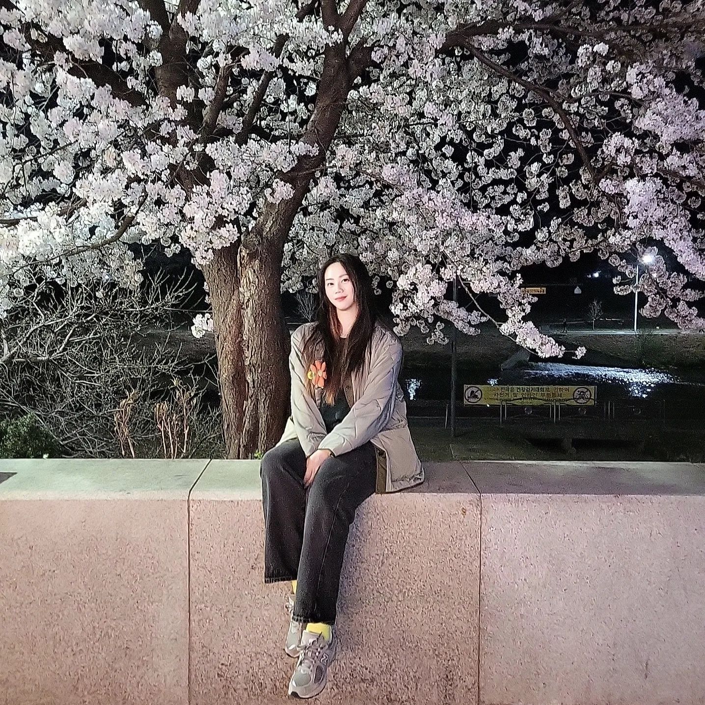 🌸

벚꽃 나두 봤다 이말이여😉
지으니가_havely_07 아주 금손이네?

꽃이 피었으니
이제 본격적으로 
싸돌아다닐 시기가 다가왔네요😘

#벚꽃
#enfp #역마살