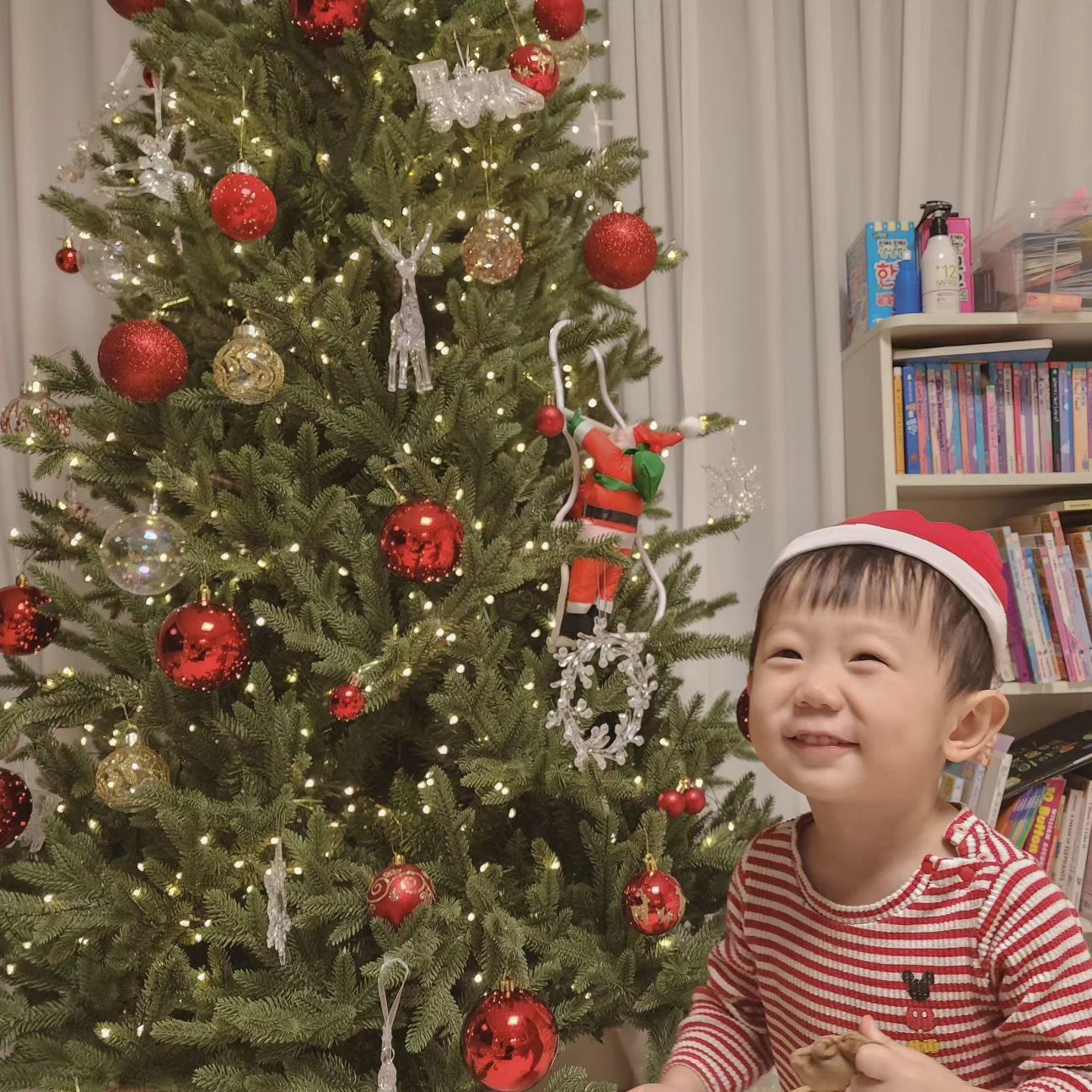 오래 고민하고 다온이랑 상의하면서
꾸민 2023년 우리집 트리

다행히 다온이가 무서워하지 않고
감사하게도 오너먼트를 빼려고 하지않아 예쁘게 유지가 되고있다.

다온이랑 약속했던것처럼
반짝이는 트리 아래에서 케이크도먹고
캐롤도 들으면서 파티가 가득한 12월이 되야지

반짝이는 트리를 바라보고 있으니
오늘 하루도 동화같이 아름답게 
마무리되는것 같다.

#아기키우는집 #아기방꾸미기 #아기방인테리어 #거실인테리어 #트리인테리어 #꼬마트리 #거실인테리어 #인테리어그램 #트리스타그램 #30개월아기 #꼬마산타 #실내복모델