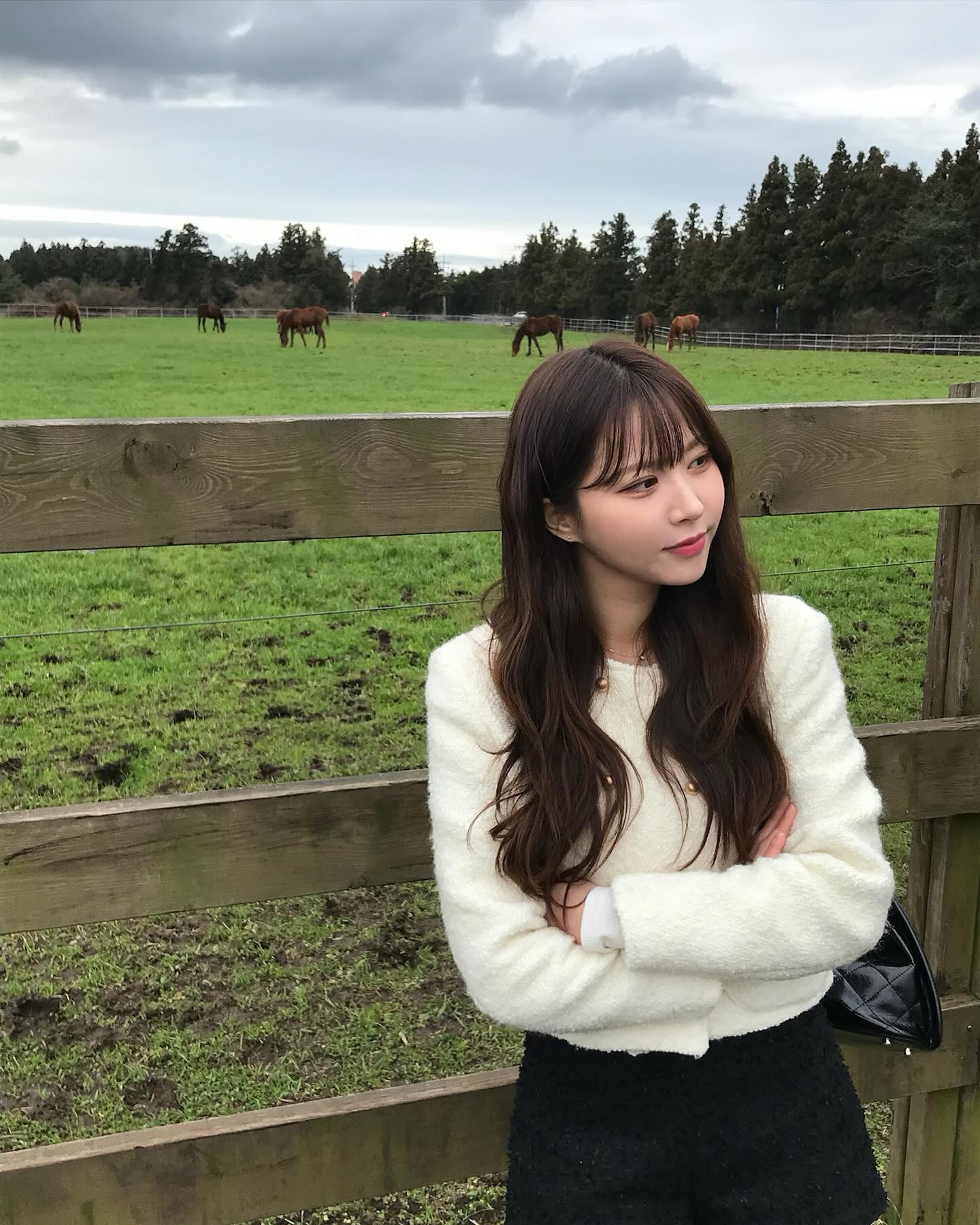 🐴🥕