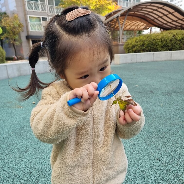 .
#쁠리피드 #20241112

돋보기로 열매와 나무 관찰중🔍

#27개월
#어린이집생활
#바깥놀이
