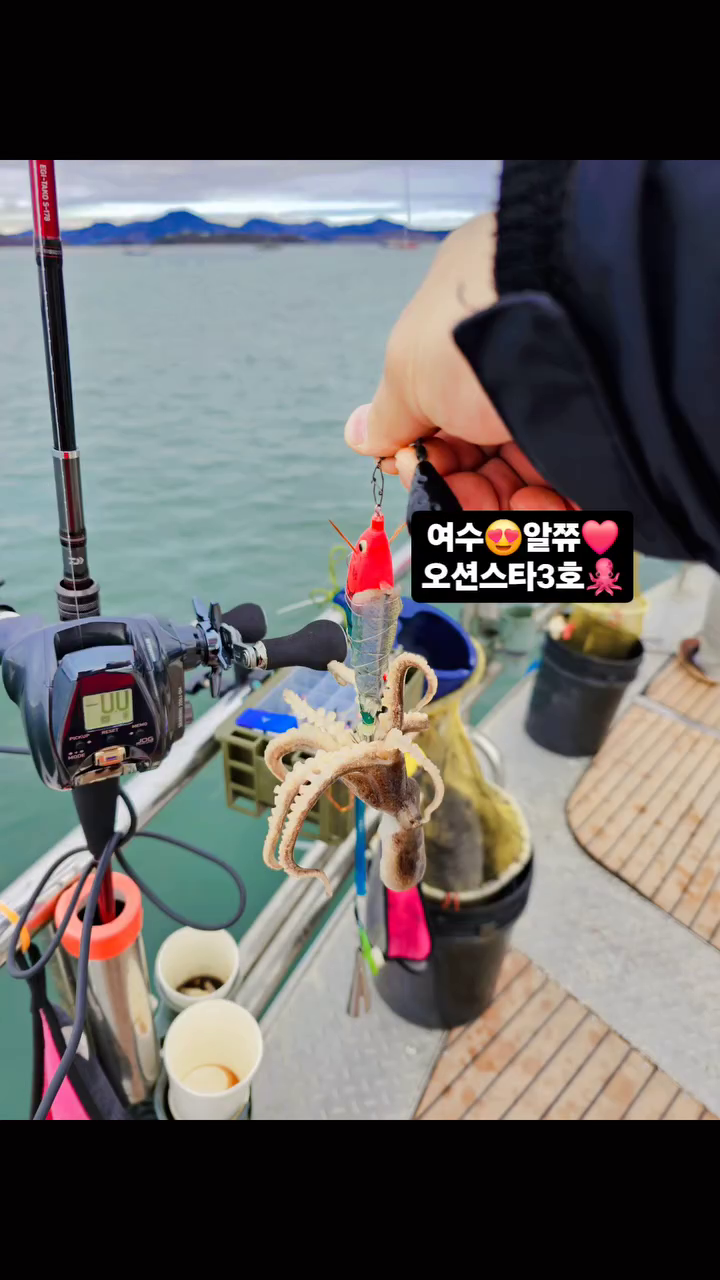 #여수오션스타3호 #왕쭈꾸미 😍 #아미고라인 🔥 진짜 간만에 타이라바 가려고 경건한마음으로 라인도 새로 감고 🔥
❤️ 🗡 #아미고x11 #아미고듀얼파워 🗡 #아미고블랙엣지 ❤️
 타이라바 전동릴도 준비하였으나 날씨가 😭  완도,여수,고흥 예약 했음 뭐허나 어차피 여서.거문.사수 그짝날씨 박살나서 가까운 타이라바라나 물고기다잡아 낚시라도 기대해봤찌만 올 취소라 😱 여수 내만 쭈꾸미 오션스타3호 예약! 물때는3물 황금물때, 멋찐 정사무장님께서 조과 및 날씨 우려하셨으나 먹을만치 이상! 왕싸이쥬 쭈꾸미를 따복따복 잡고옴 ㅋㅋ 사무장님 잡으신 쭈도 제 물칸에 그득히.넣어주심 감사🙏 덕분에 넘나리  잘놀았심미데이 🔥 심해갑때 봅시다🤩 집와서 세어보니 총 48수! 성공🔥

#쭈꾸미낚시 #그노무쭈꾸미 #두족류낚시 #맛있다 #아미고합사  #메탈리아에기타코 #쿄쿠에이타코이카170h #다이와pr100 #극예170h #씨보그200j #여수 #오션스타3호 #요즈리삼봉 #요즈리레이져 #롤리팝에기 #야마시타레이져 #씨넥스에기 #키우라에기 #100percent #s3 amigo.company 100percent_kor_ lureteam_tiger team_lure.k