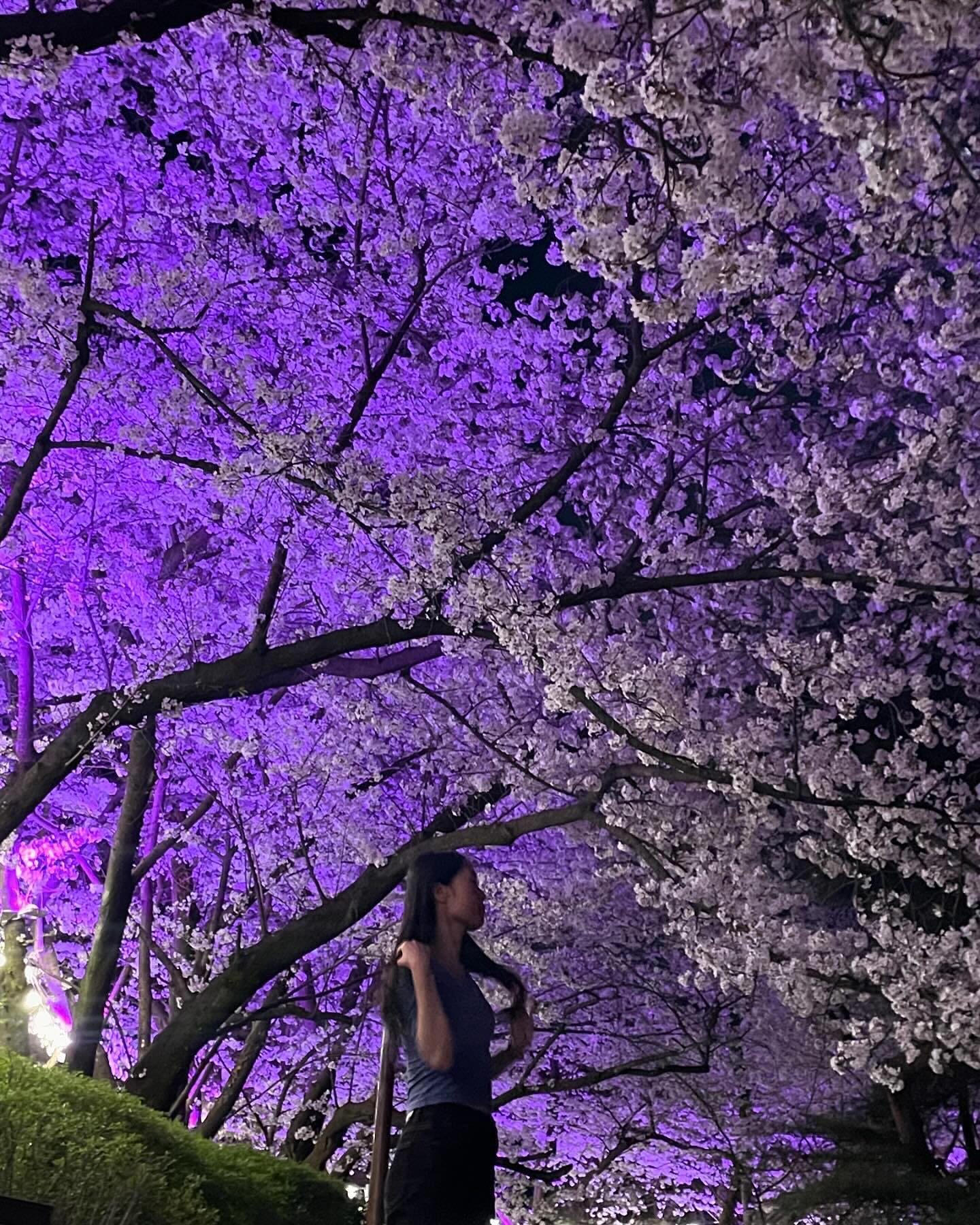 🌸🐈‍⬛🥗🧘‍♀️💙
봄 보내주기🌬️