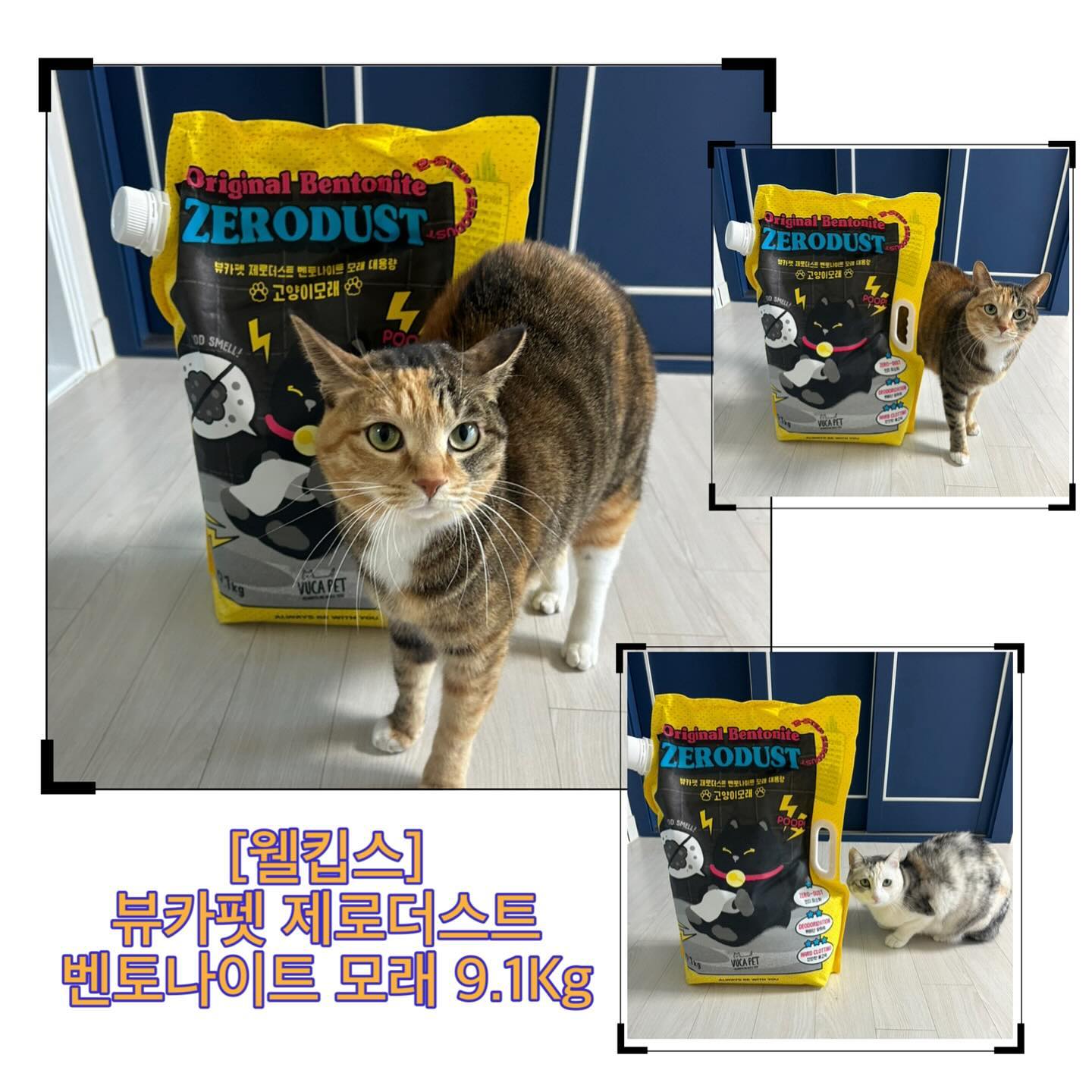#협찬 #제품제공 #무상제공 
[웰킵스] 뷰카펫 제로더스트 벤토나이트 모래 9.1Kg*2 체험단

웰킵스 뷰카펫 제로더스트 벤터나이트 모래 체험단에 선정되었어요. 우선 부을 때 먼지가 일지 않아아서 먼지공정에 섬세하게 신경을 썼다는 점을 알 수 있었어요. 보통 제로더스트라고 해도 부을 때 조금이라도 먼지가 이는데 뷰카펫 제로더스트 벤토나이느는 높은 지점에서 부었음에도 불구하고 먼지가 일지 않더라고요. 먼지가 이는 제품의 경우 아이들 호흡기 증상이 나타나거나 눈꼽이 껴서 거르는 편이에요. 화장실을 다녀왔을 때 잔기침을 한다거나 하면 모래에 대해 생각해 보셔야 할 것 같아요. 
모래 입자가 너무 가는 경우에는 먼지 임이 있어서 기호성은 좋아지지만 호흡기 부분에 안좋아서 가는 모래 입자는 선호하지 않는 편이에요. 웰킵스 뷰카펫 제로더스트의 경우에는 굵은 입자와 가는입자가 적절하게 섞여 있어서 아이들 젤리도 보호 할 수 있는 장점이 있어요. 
모래에서 중요한 것이 바로 응고력인데요, 아이들 소변 본 후 모양이 잘 잡혀 있는 것을 보니 응고력은 걱정 안하셔도 될 것 같아요. 게다가 응가를 한 후 덮자마자 바로 냄새가 사라지는 신기한 경험도 하실 수 있을 거에요. 
9.1Kg이라는 대용량으로 되어 있어 모래 부족현상을 겪으시진 않을 것 같아요!. 요즘 아이들이 신나는지 화장실 앞에 모래를 흩뿌려 놓더라고요. 화장실 들어가서 새 모래가 좋은지 어찌나 모래를 파 놓는지 몰라요. 너희들이 즐거우면 됐다하고 쓸고 있는데, 너무 좋나봐요. 

이 리뷰는 제품을 무상으로 제공받아 작성되었습니다.

 #뷰카 #뷰카펫 #제로더스트 #고양이모래 #벤토나이트모래 #고양이모래추천 #체험단