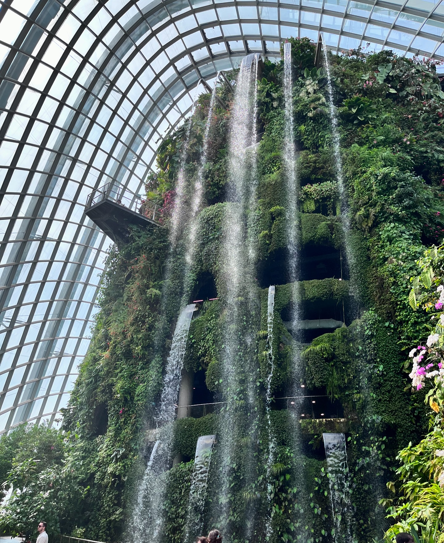 시원하고 좋아 🌴 #gardensbythebay #가든스바이더베이 

#싱가포르 #싱가폴 #싱가포르여행 #singapore #singapore🇸🇬