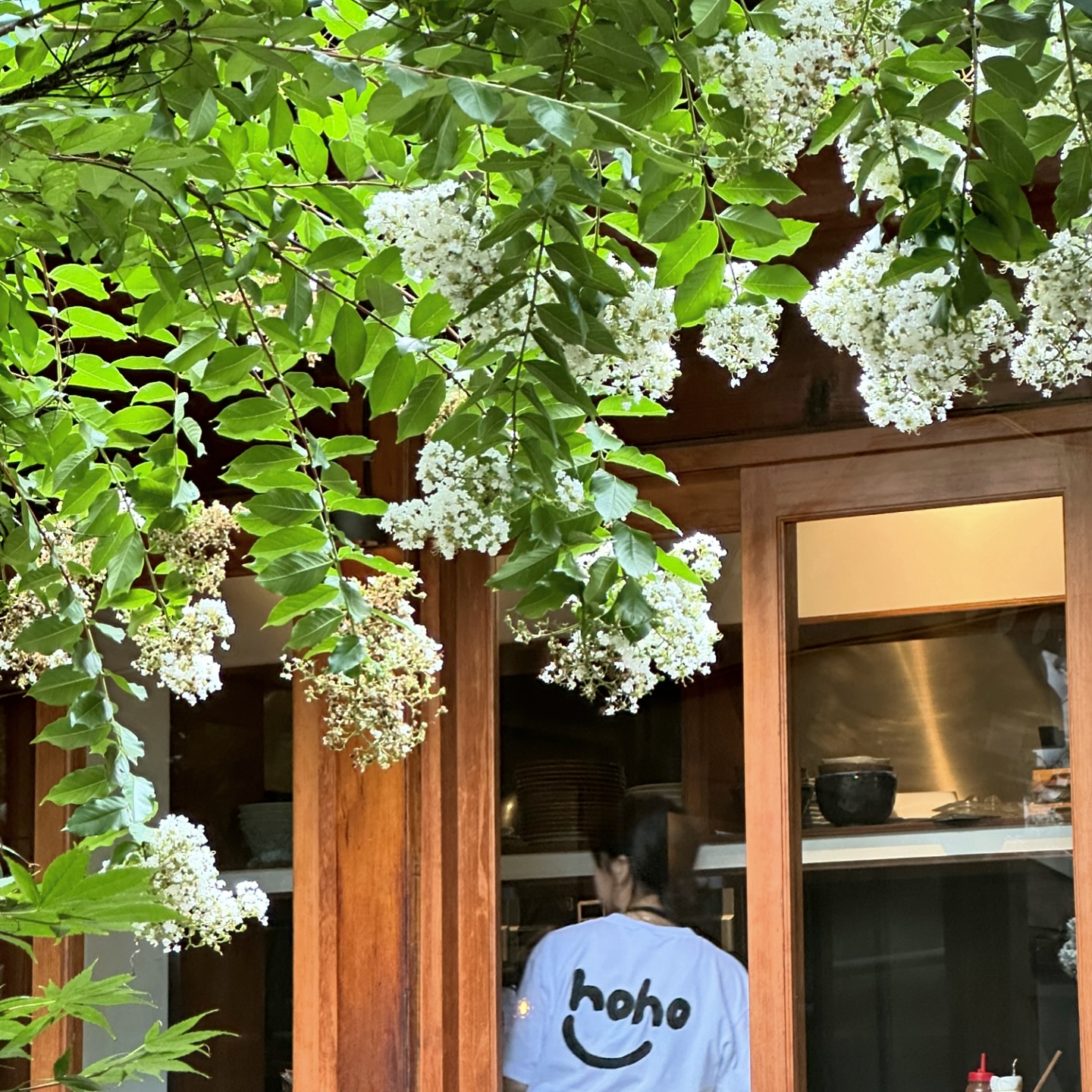 📍 대학로 호호식당
- 몇번을 지나갔던 호호식당 드디어 가 봄
- 분위기가 넘 좋네 :) 
- 쾌적하고 깔끔하고 손님이 많아서 분주하지만 여유로운 응대가 있어서 역시 손님이 많은 곳은 이유가 있다 싶었음
- 음식은 만듦새와 차림새 모두 훌륭하여 맛있게 먹음 ✨
- 오랜만에 만난 반가운 사람들과 함께 해서 더 좋았던 시간 🌿