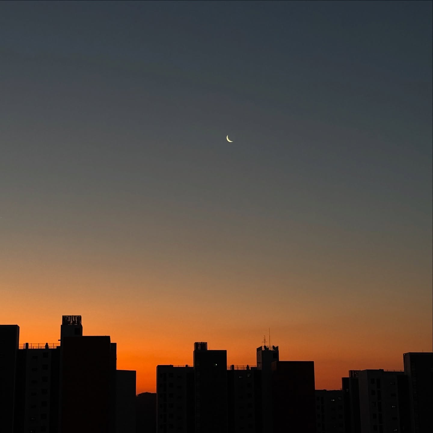 다가오는 한 해를 거절할 순 없겠습니다. 바라건대 보다 작은 것을 고민하고 큰 기쁨을 누리는 2025년이 되면 좋겠네요. 2024년도 덕분에 즐거웠습니다. 많이 배웠고요, 모두 안녕하세요.