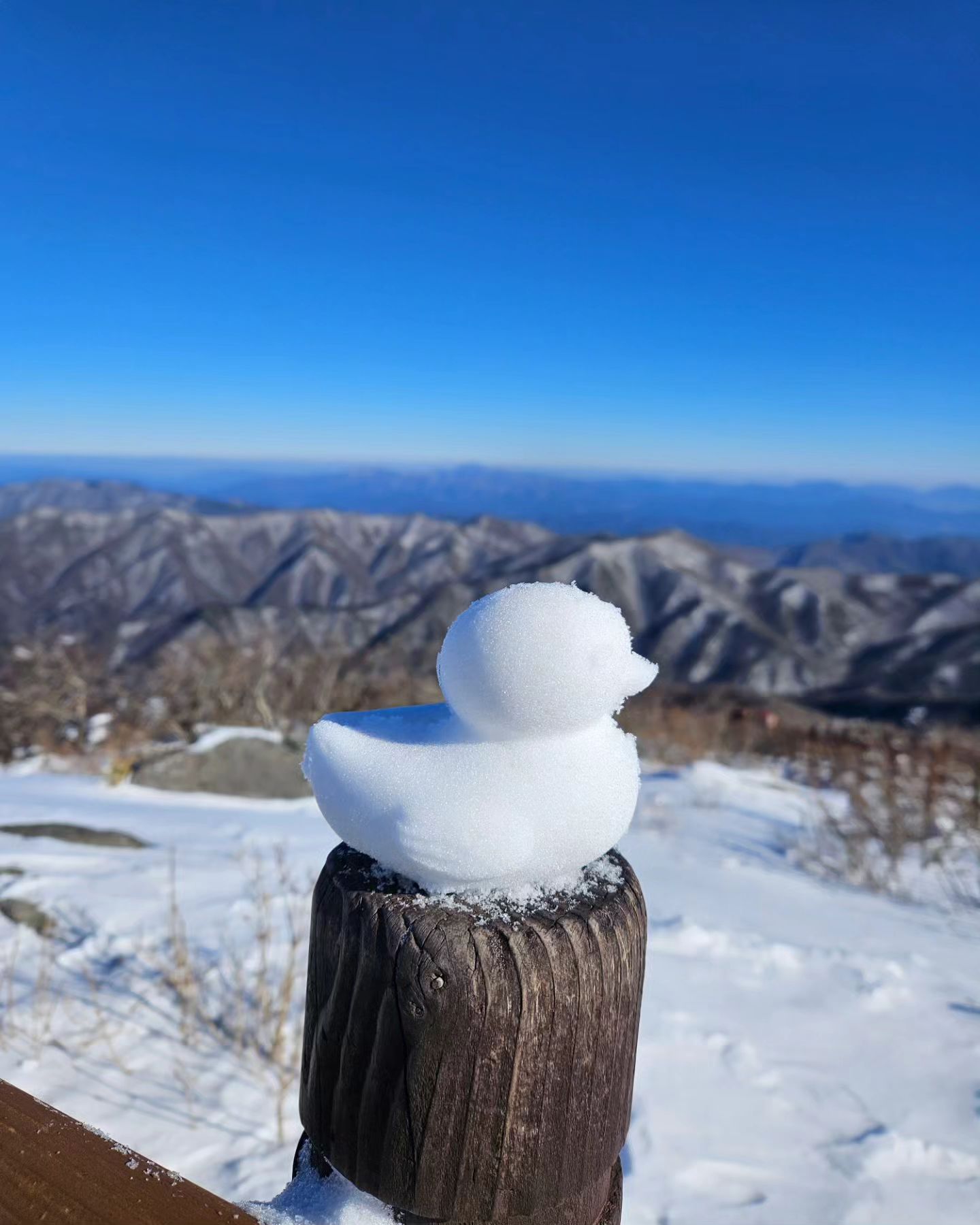 -
눈구경하기 힘든 울애기들 눈❄️구경 실컷시켜줬네
눈이 너~~무 부들부들해서 눈사람☃️도 만들기 힘드네
#덕유산 정상까지 올라간다고 수고했다👍
날씨도 우리를 도와주네~
다음에는 아빠랑 #스키 타러 와보자
사진보는데 아직도 춥노~🥶