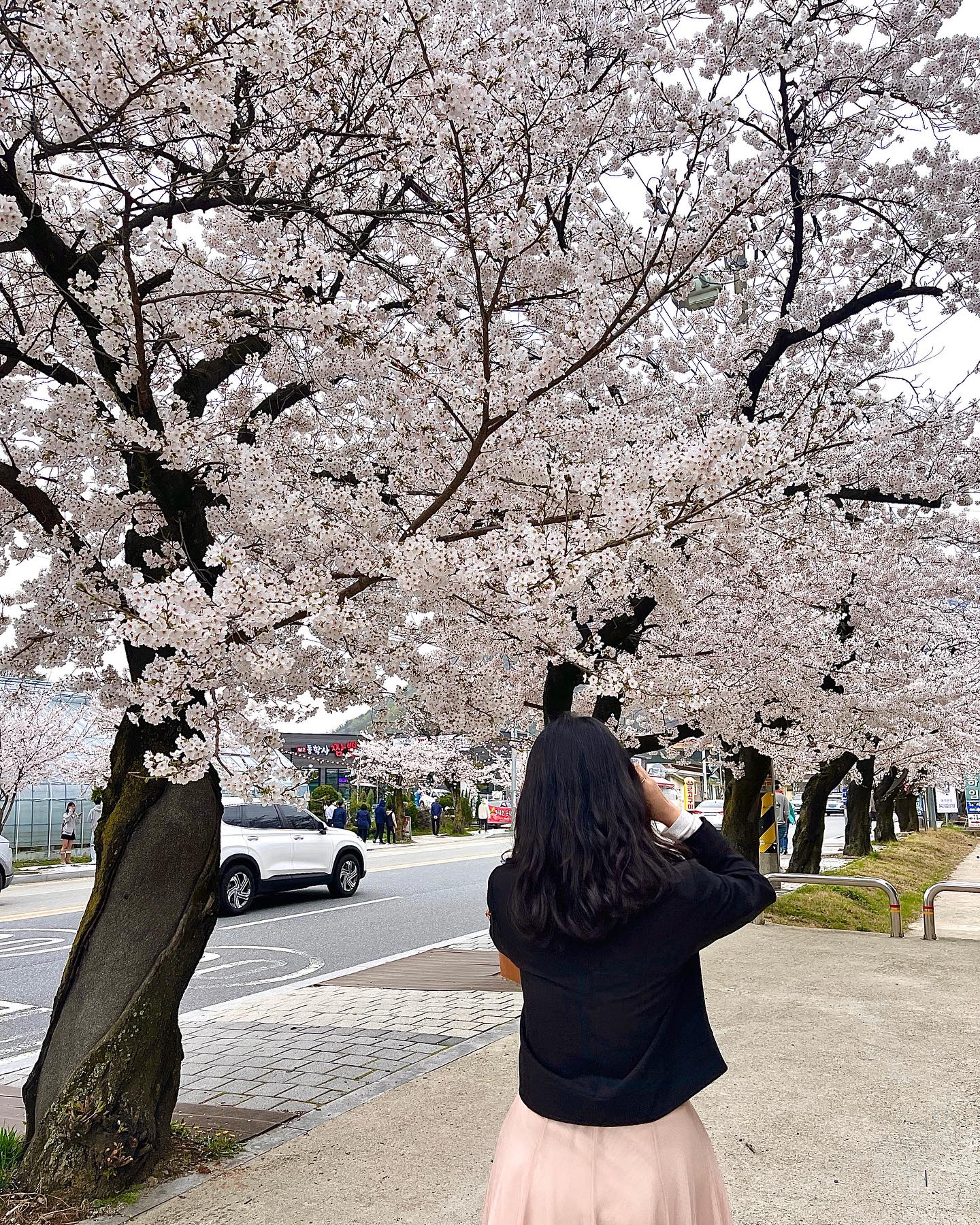 #벚꽃엔딩 🌸🫧