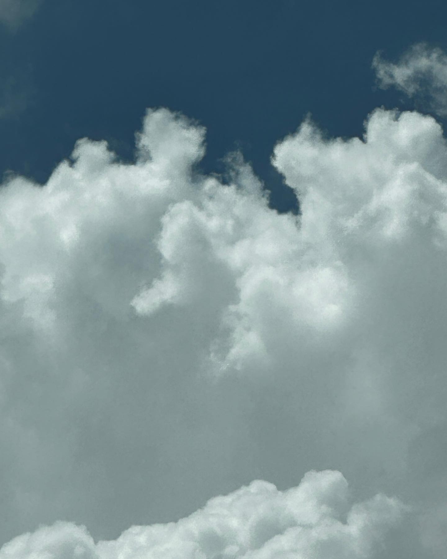 ☁️☁️🌿☁️
특별한 뜻은 없는데 갤러리에 내 얼굴보다 지분이 많아지는 구름사진