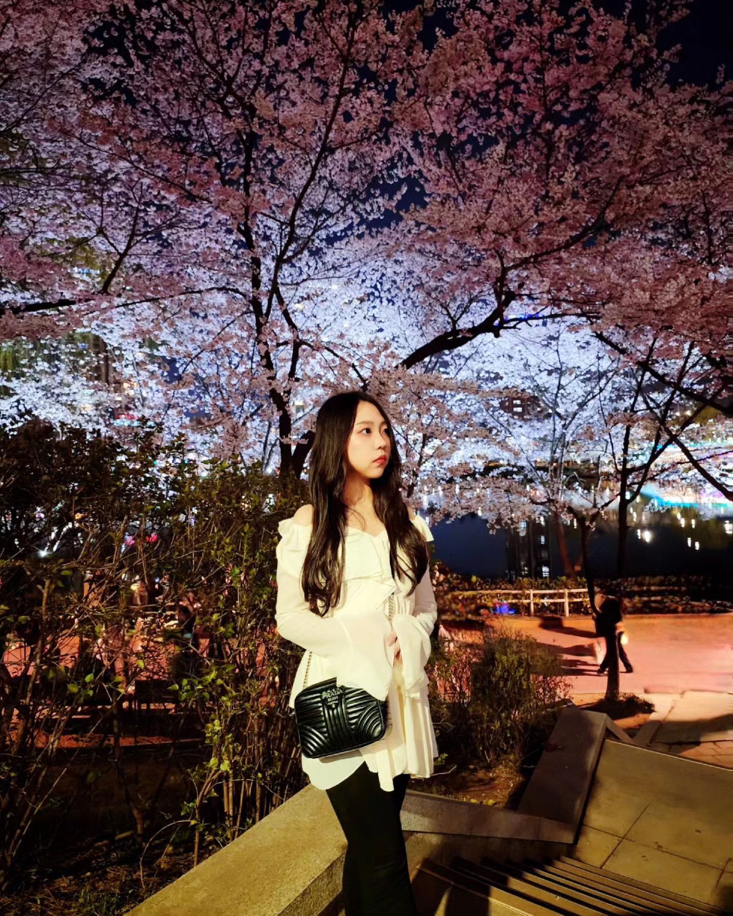 나랑 벚꽃 보러 갈랭??🌸🩷