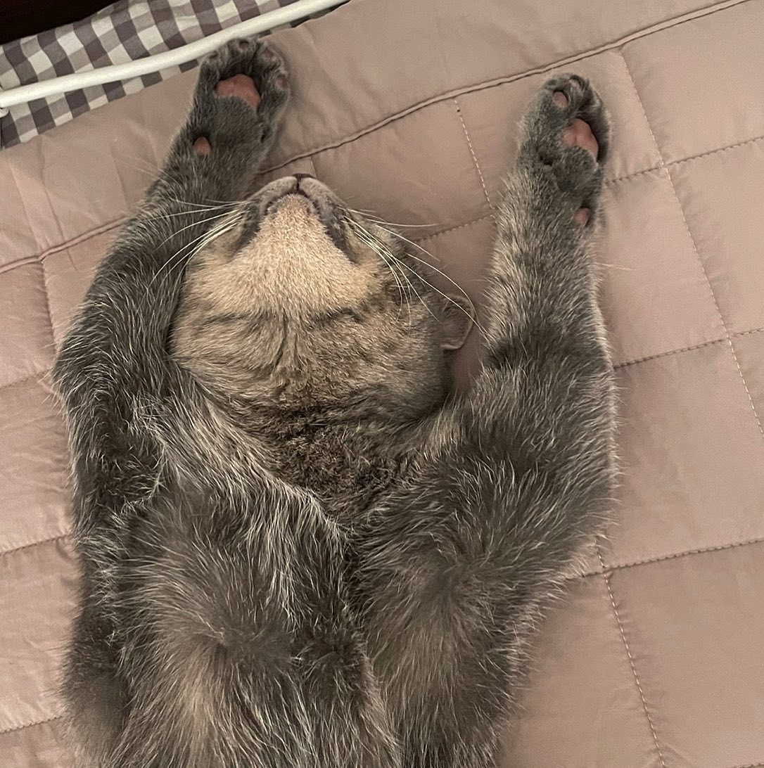사쟝님 거하게 취하셨네,,