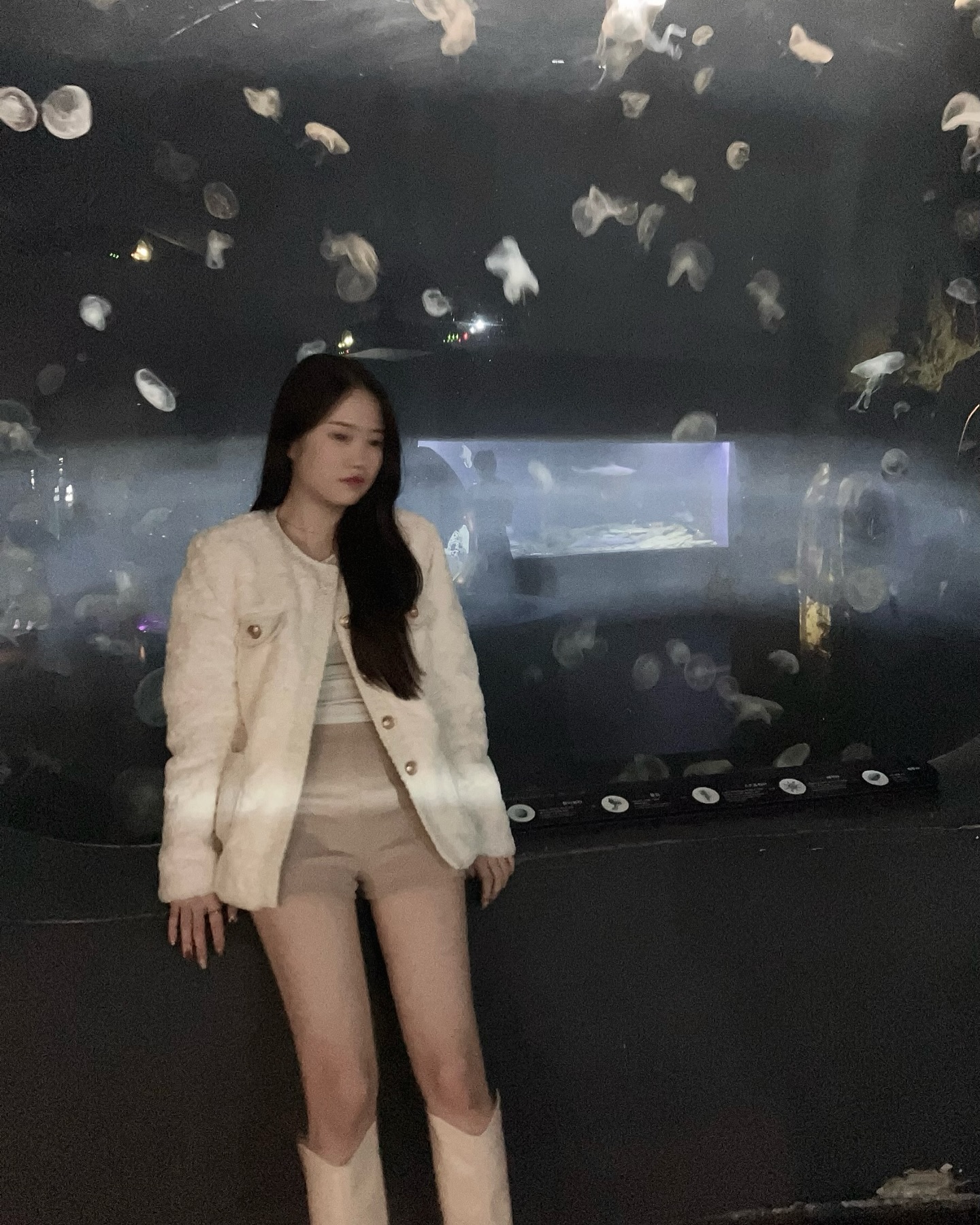 콘텐츠