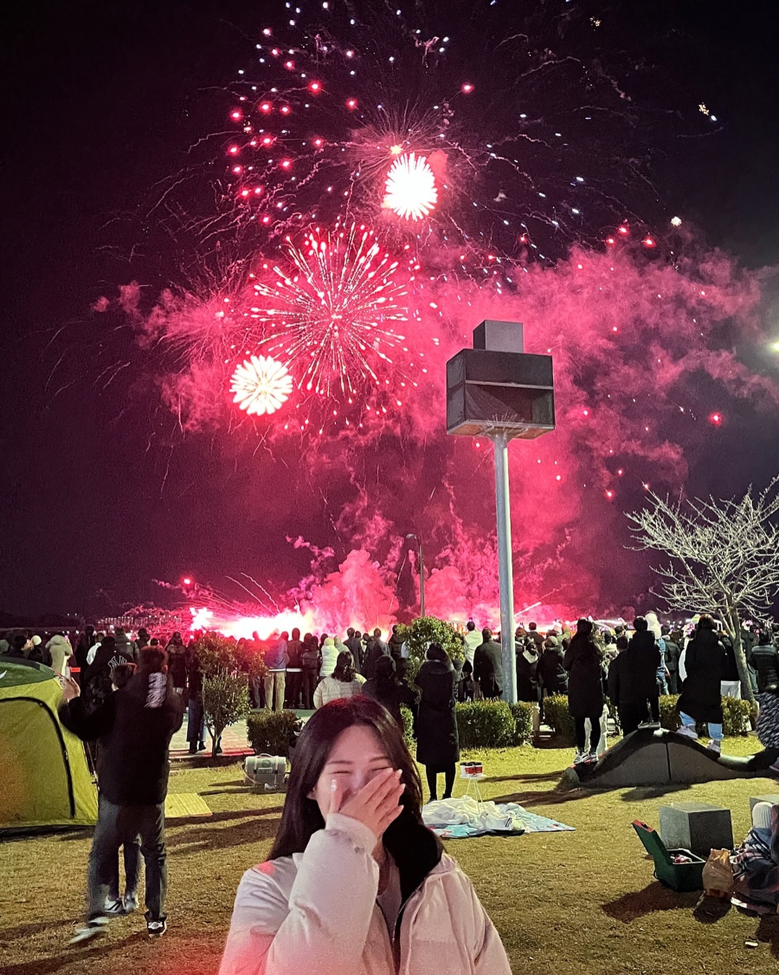 🎆