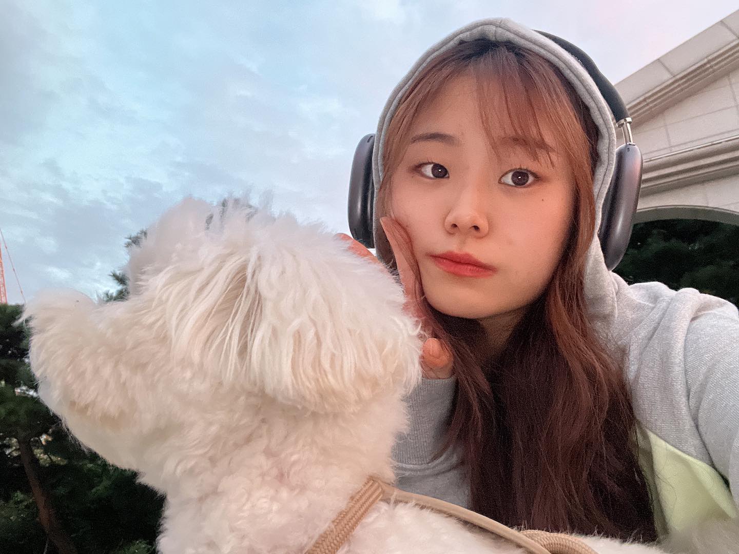콘텐츠