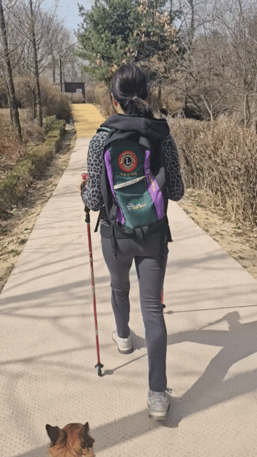 블랙야크등산스틱이 비싸다면!? 그에 준하는 가성비갑의 모버디 등산스틱이 있다!