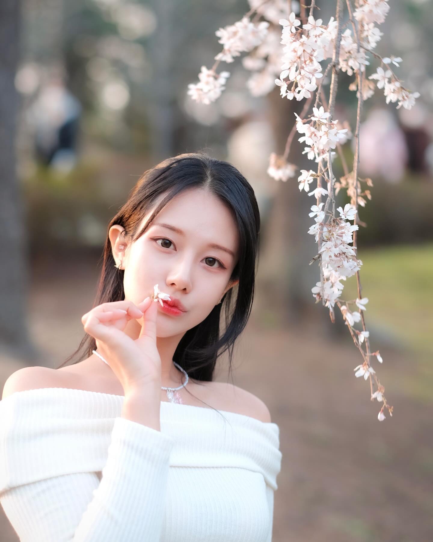 さくら大好き🌸💗

#春#花#はな