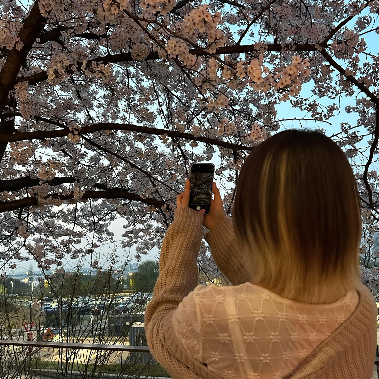 🌸

#벚꽃축제 #여의도한강공원 #윤중로벚꽃
