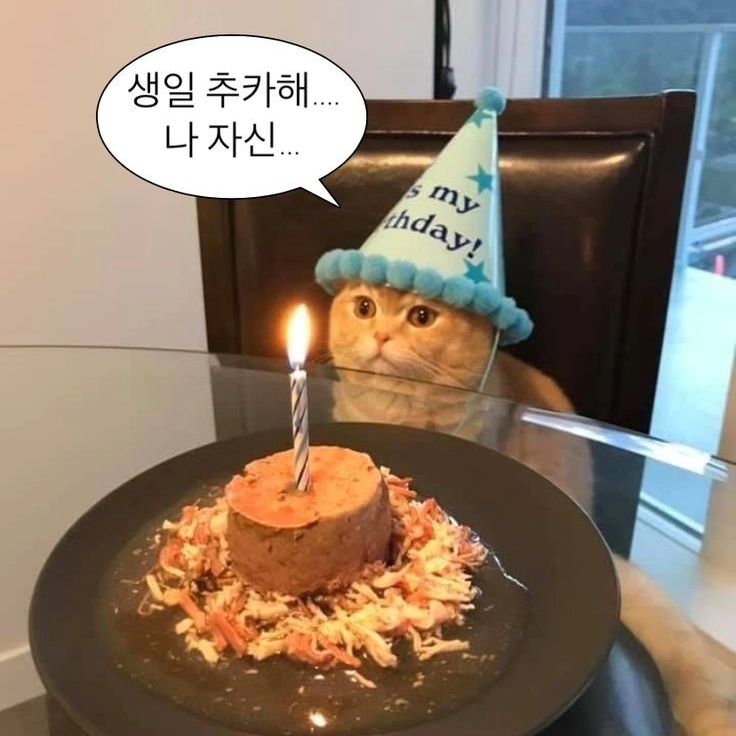 24.01.20

생일 축하해주신 모든분들 감사합니다 ❤️