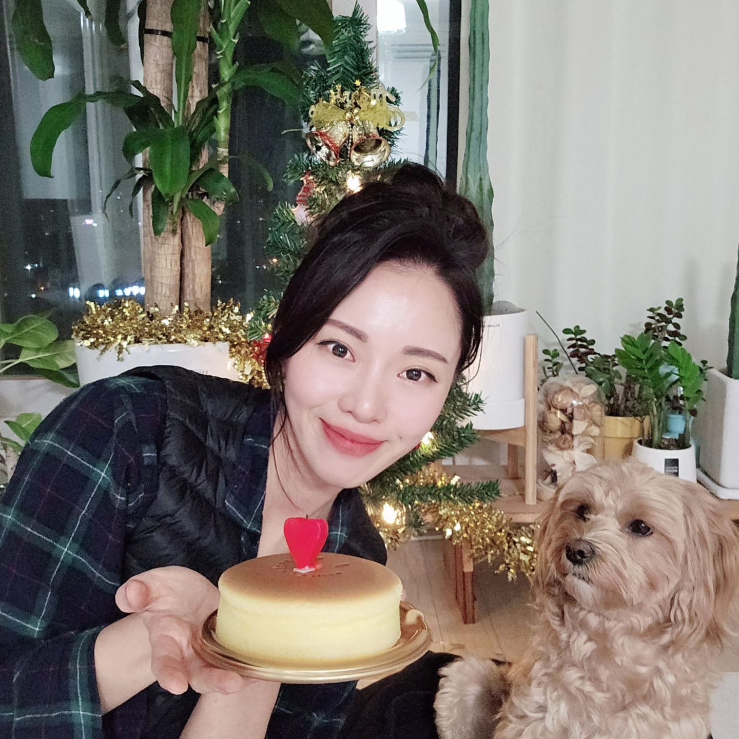 🐶 : 엄마 생일 축하해, 근데 내 케이크는 없어?! 

소소한 행복~♥︎ 단이 계정만 관리하다 보니깐 내 사진이 없네