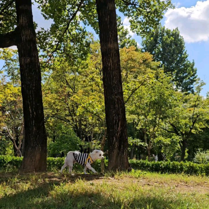 집 앞 공원에서 피크닉 🍀
