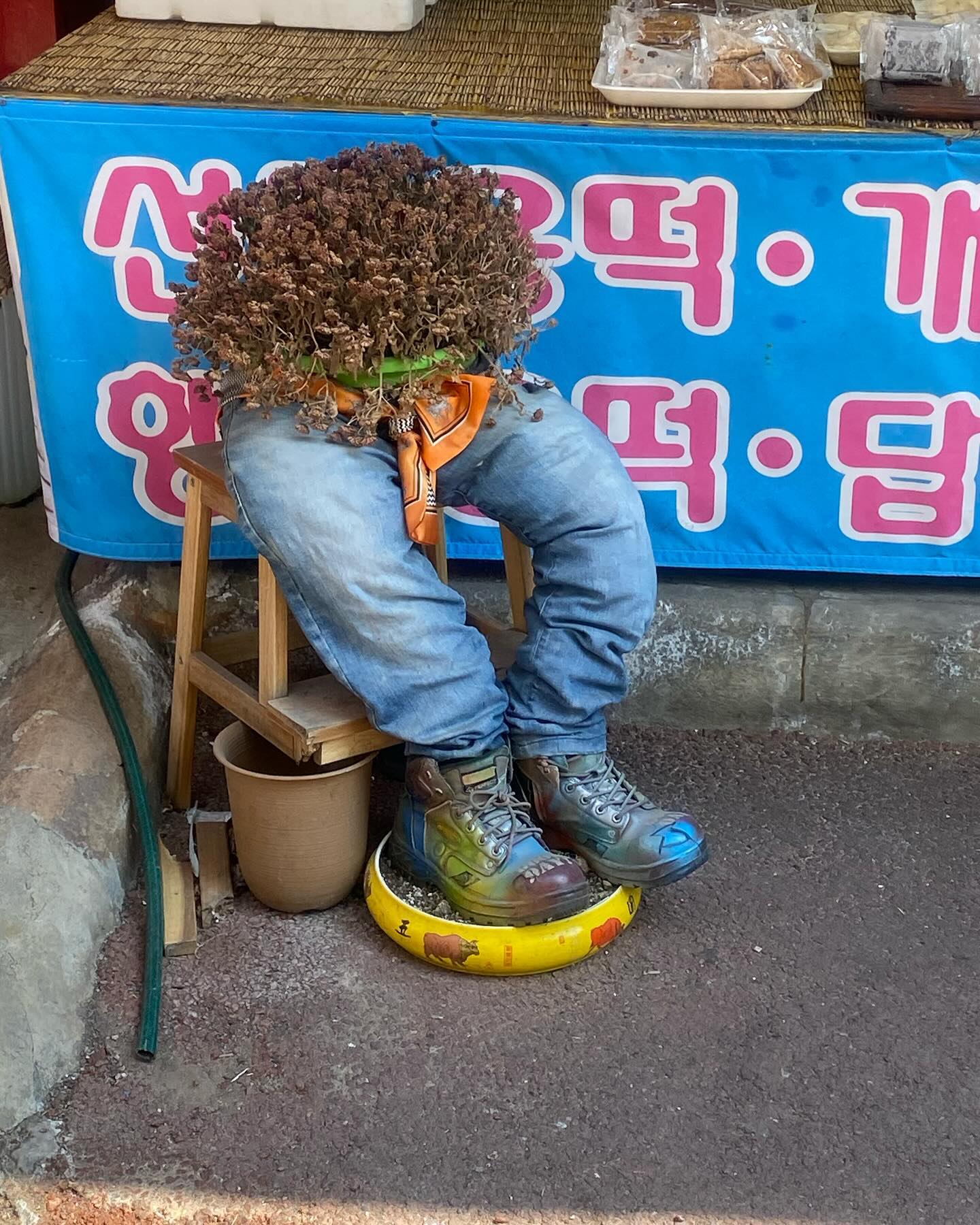 싸이머스 켄