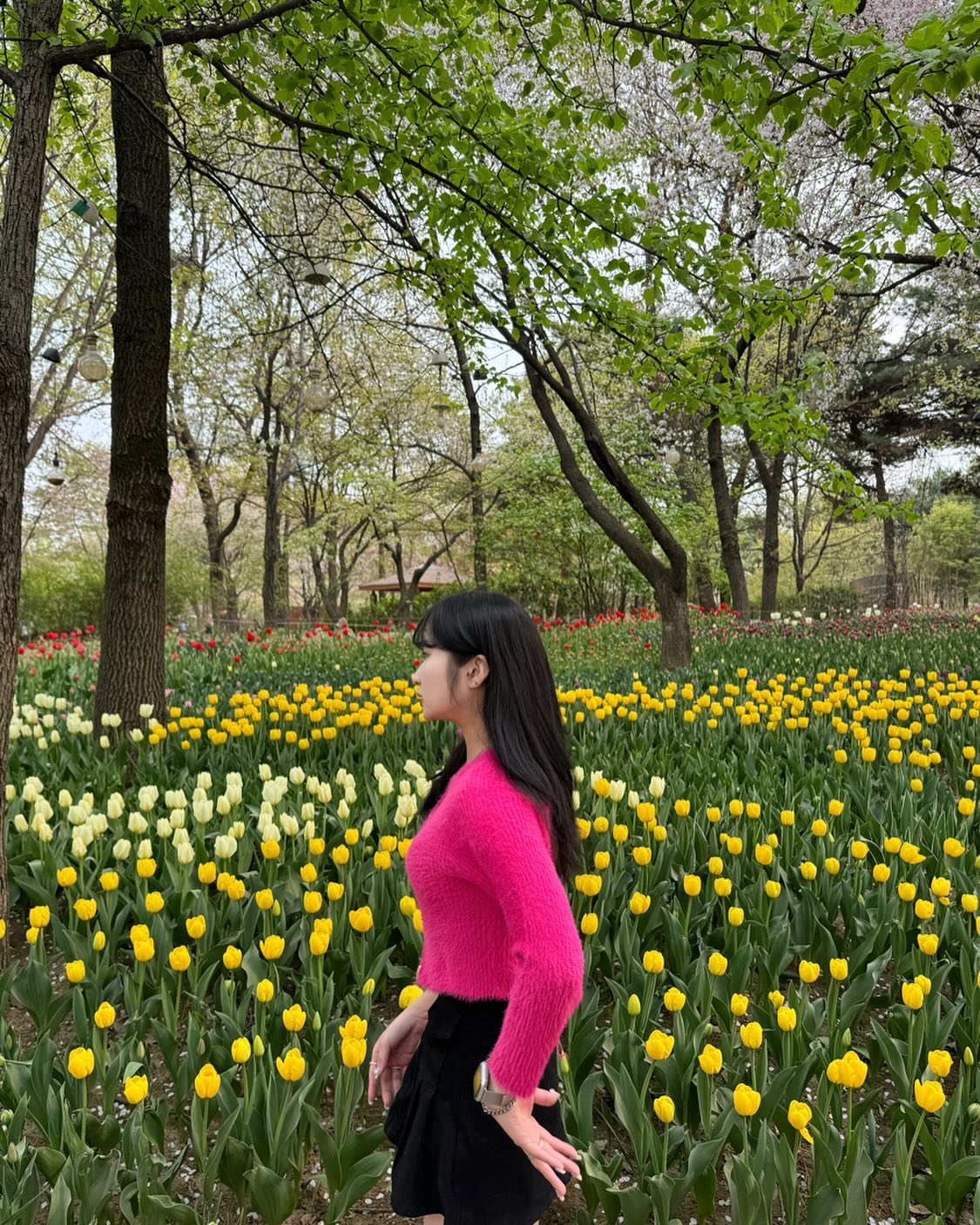 튤립보다 더 쨍한 내 옷🌷