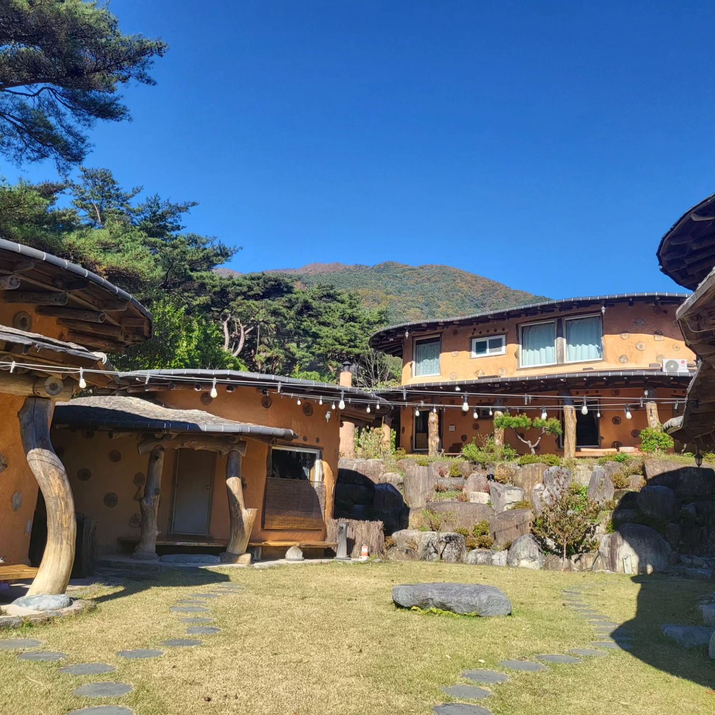 귀촌 3년차인 펜션 사장님이 직접 지은 황토 펜션
집짓는 기술을 배우러 몇년을 현장에서 일을 배우셨다고 한다.
황토 집 답게 밖은 바람이 많이 불어도 방안은 따뜻을 넘어 절절 끓는다ㅎㅎ
조식도 맛나고 플레이트 진짜 이쁜데 사진 안찍었다 ㅠ
고양이 한마리가 아주 깡패 마인드 탑재했음 
츄르 2봉 이빨과자 한봉지 다 먹음 ㅋ
뷰도 이쁘고 햇살도 잘들고 위치도 좋고 음식도 맛나고 암튼 최고 ㅋ
저녁 바베큐는 직접 구을 필요없이 가져다 주시는데 
진심 배터지는줄...
진짜.. 위치만 가까우면 정말 자주 방문하고픈 펜션...
#하동여행 #지리산황토풍경펜션 #황토 펜션 #자연친화적 건물
#황토방 # 깡패냥이