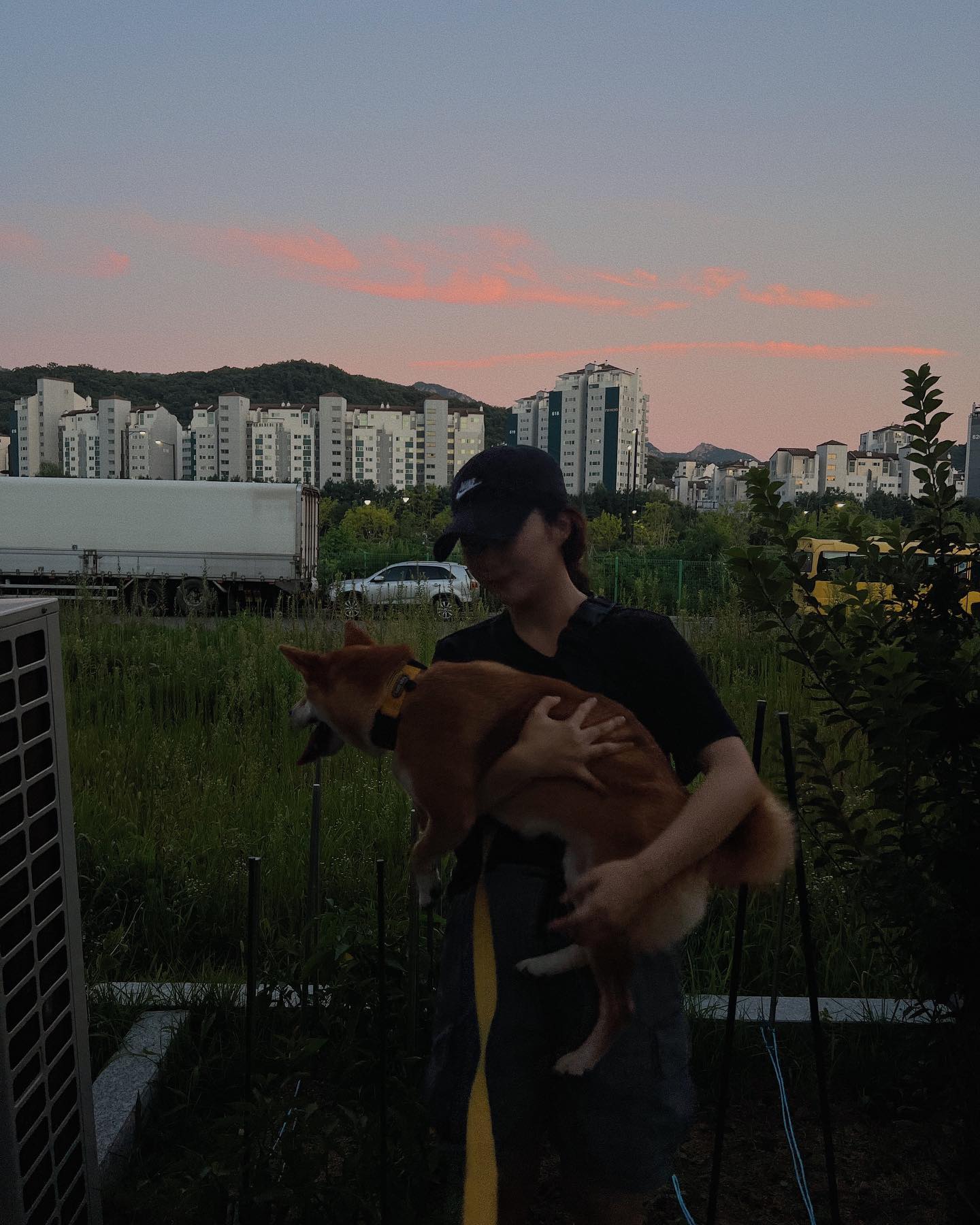 요즘 개춘기 오신 정이누